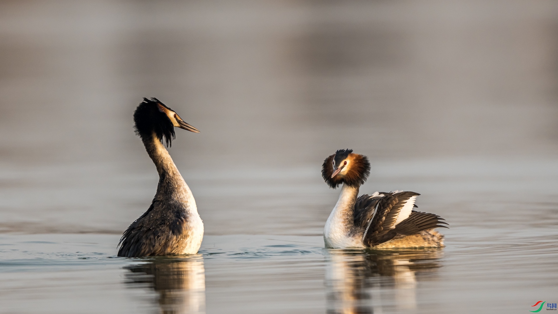 1_XXI4135-1 ����.jpeg