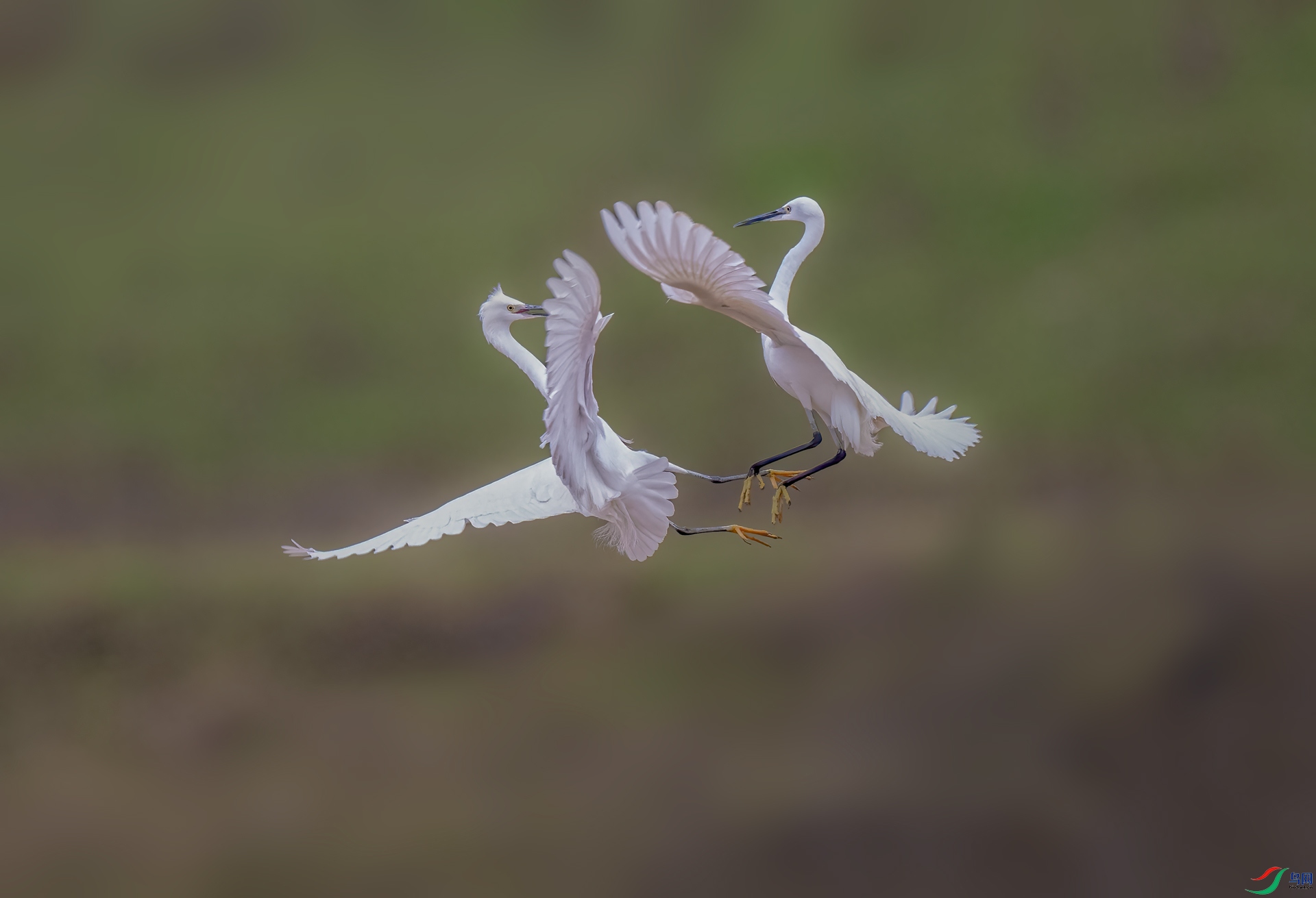 DSC_0920.jpg