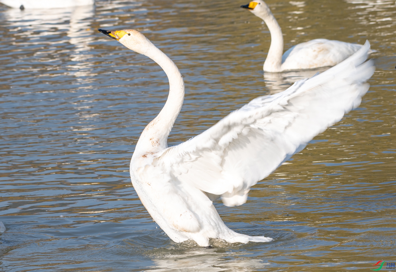 DSC_8766.jpg