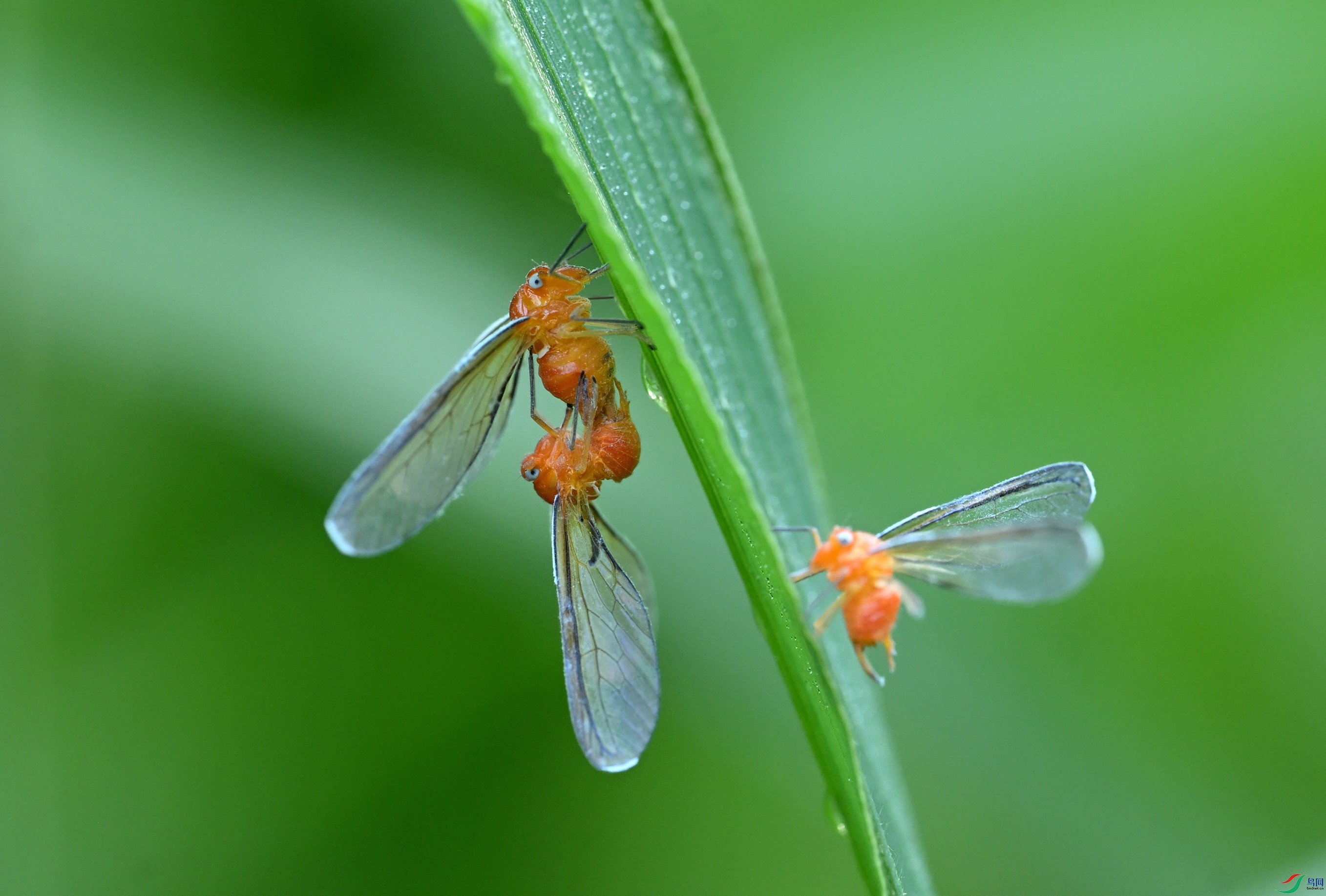 DSC_3785.JPG