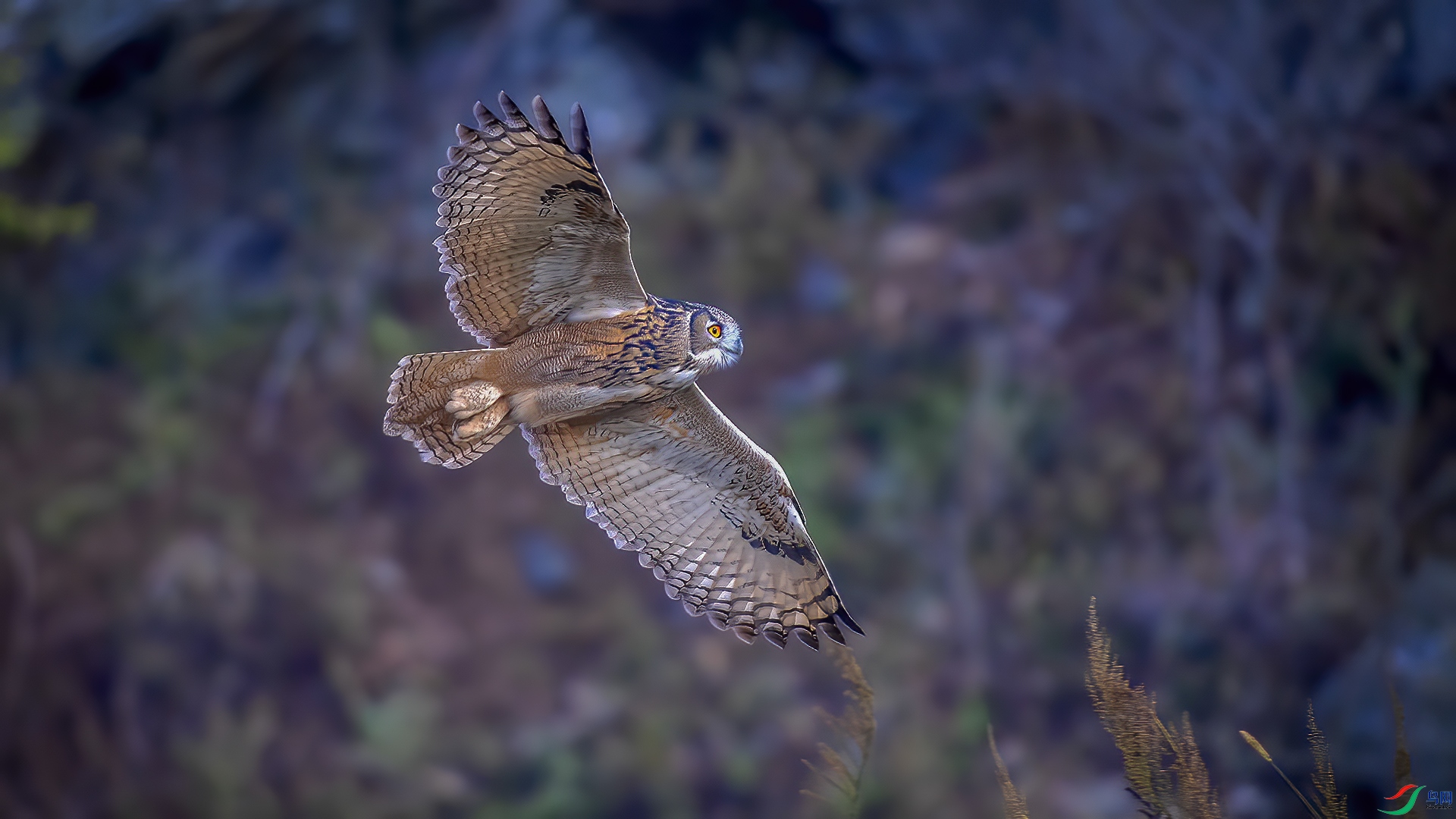 DSC_9043.jpaq.jpg