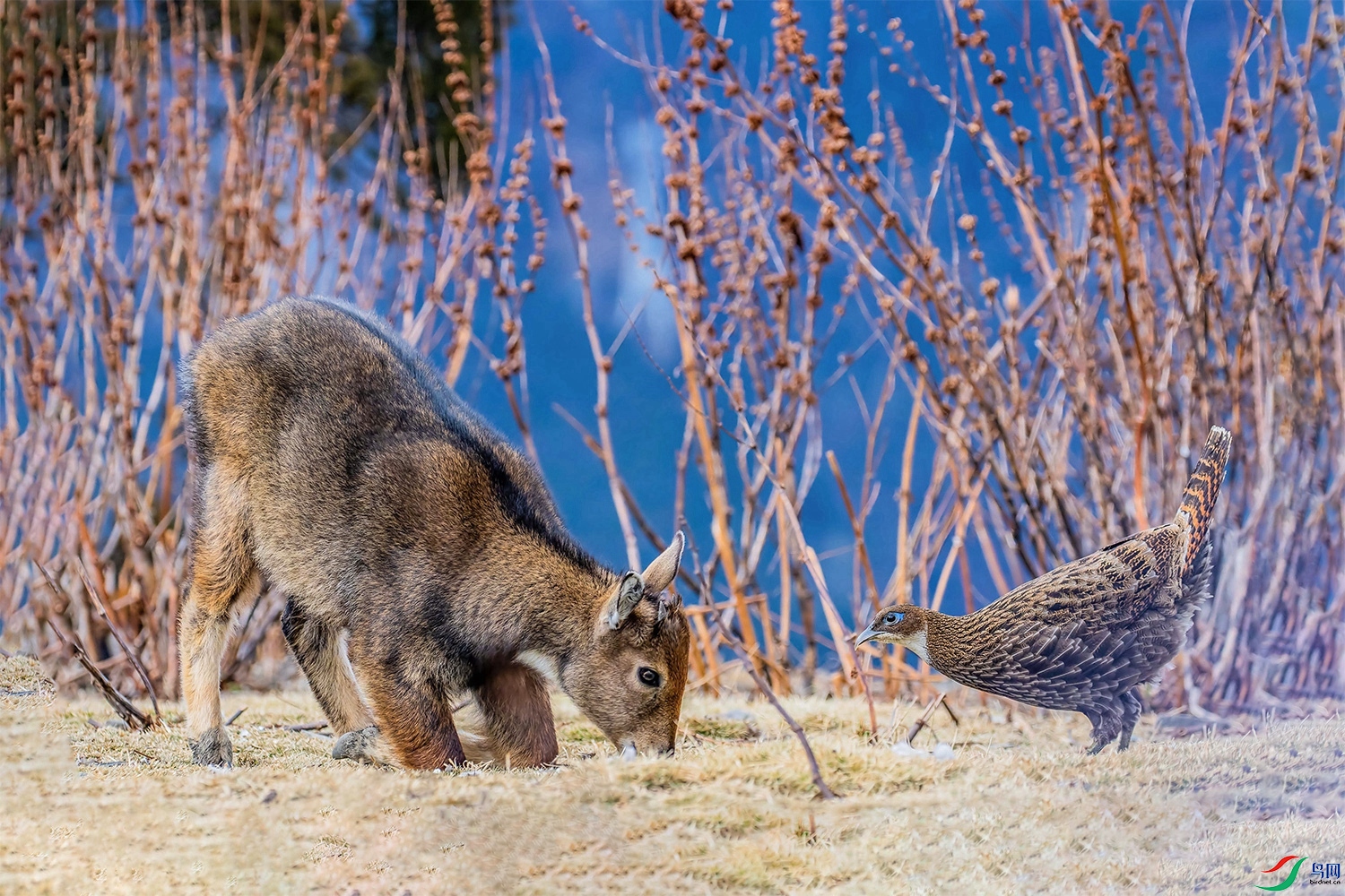 DSC_5083.jpg