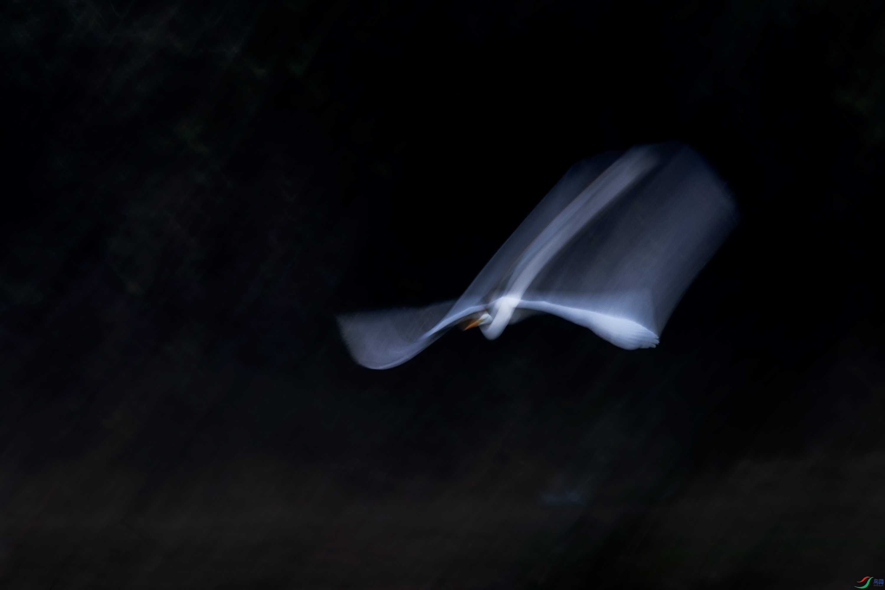278A0169.jpg