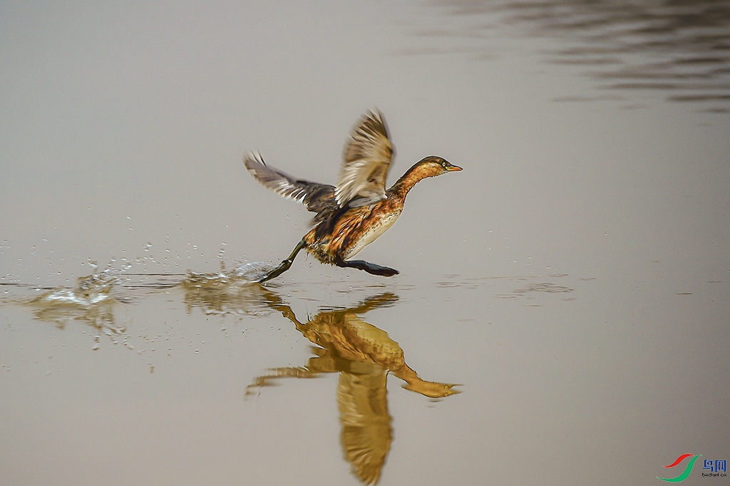 _D4S2361 - ����.JPG