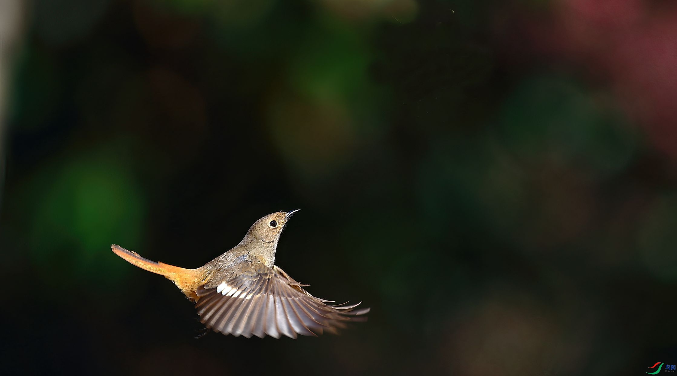 B43I9864-SharpenAI-Motion (1).jpg