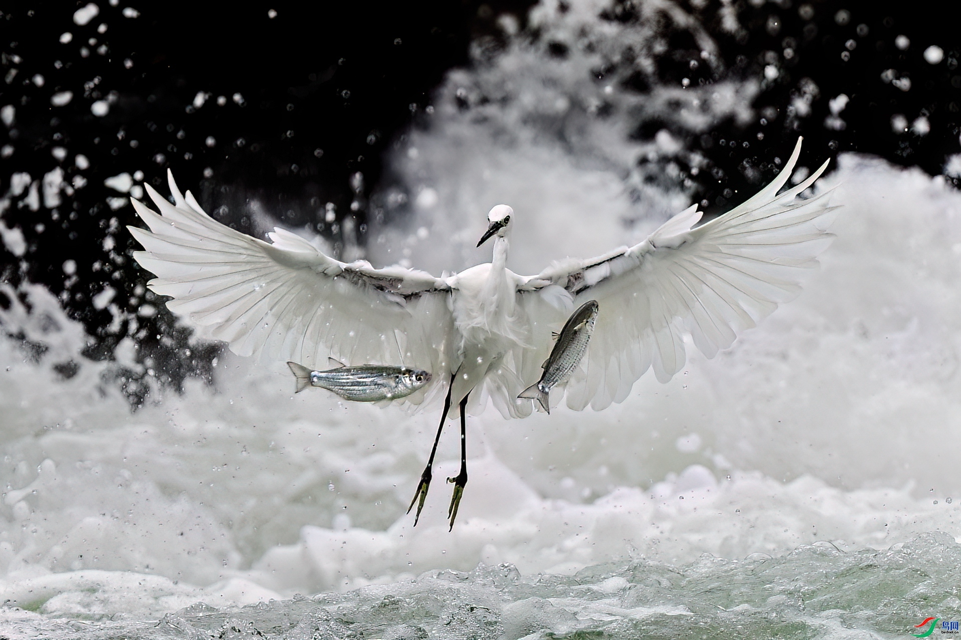 11.21������ˮ��ʦ��Ʒ   ���� ��ף���ٻ��Ա������.jpg