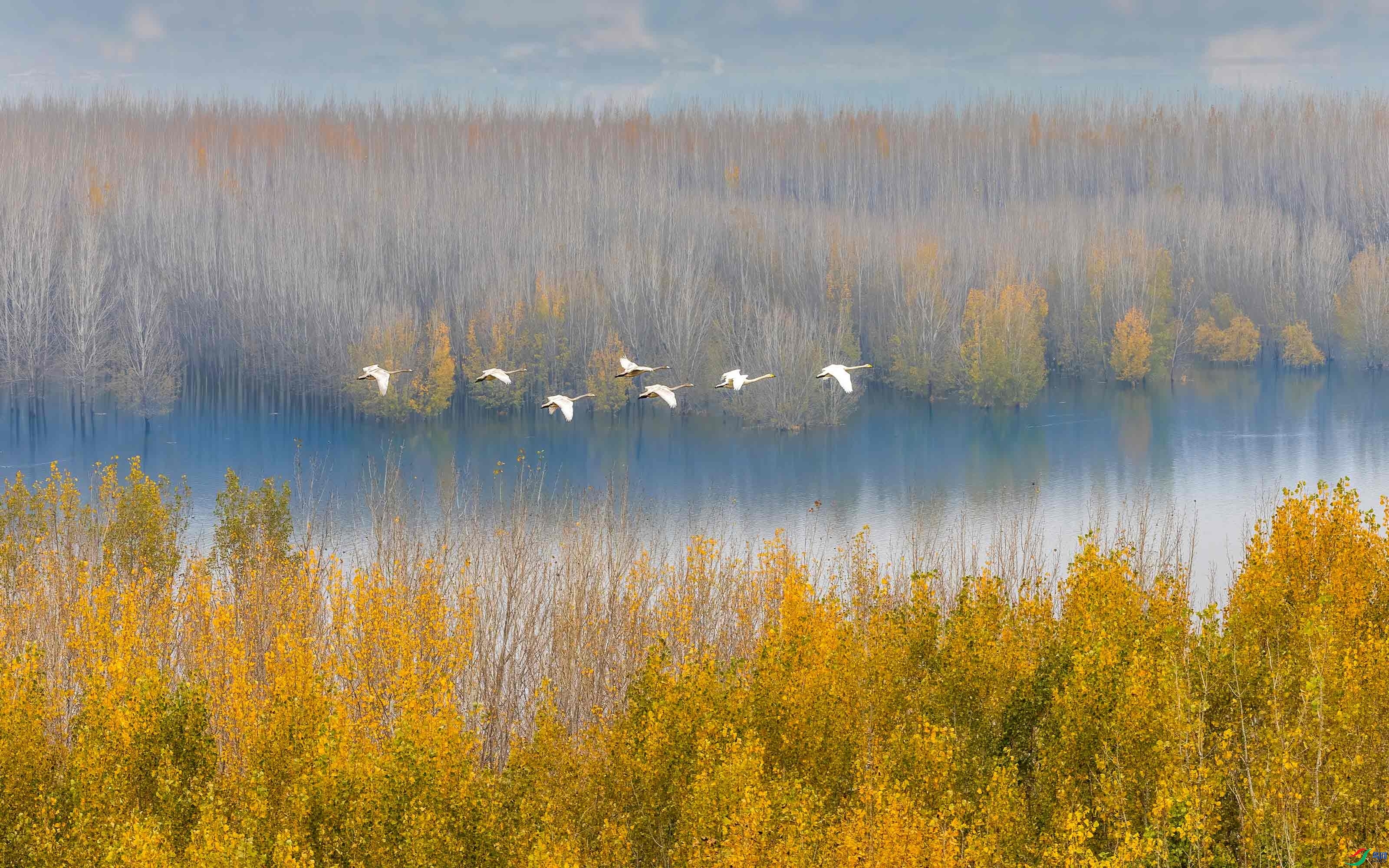 11.22�ɶ��Ͻ���ʦ��Ʒ   ���ŵķ��� ��ף���ٻ����������.jpg