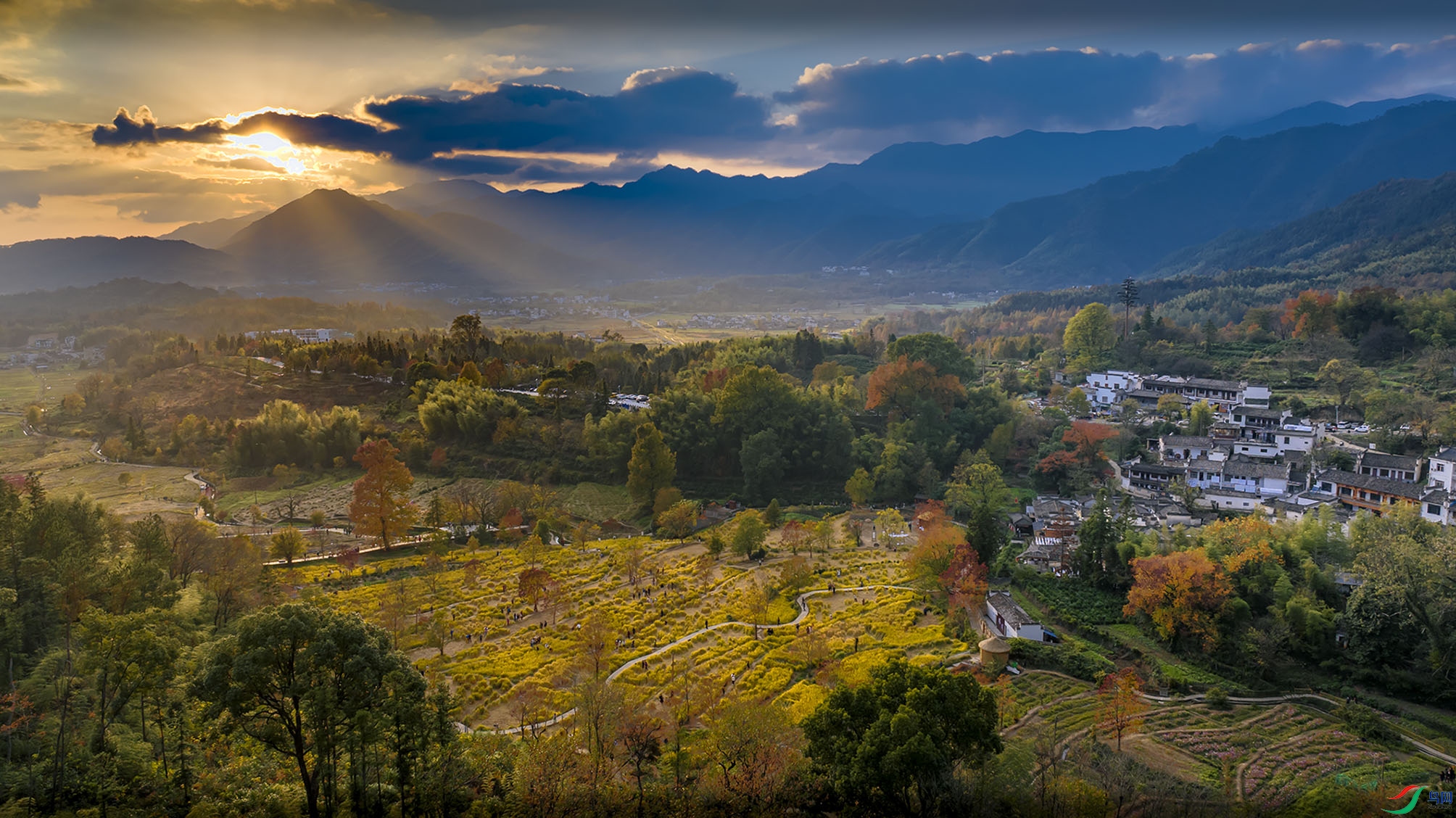 DJI_20241121164213_0497_D.jpg