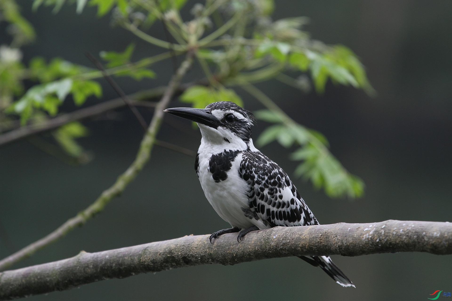 ������Ƭ2 057 (2).jpg