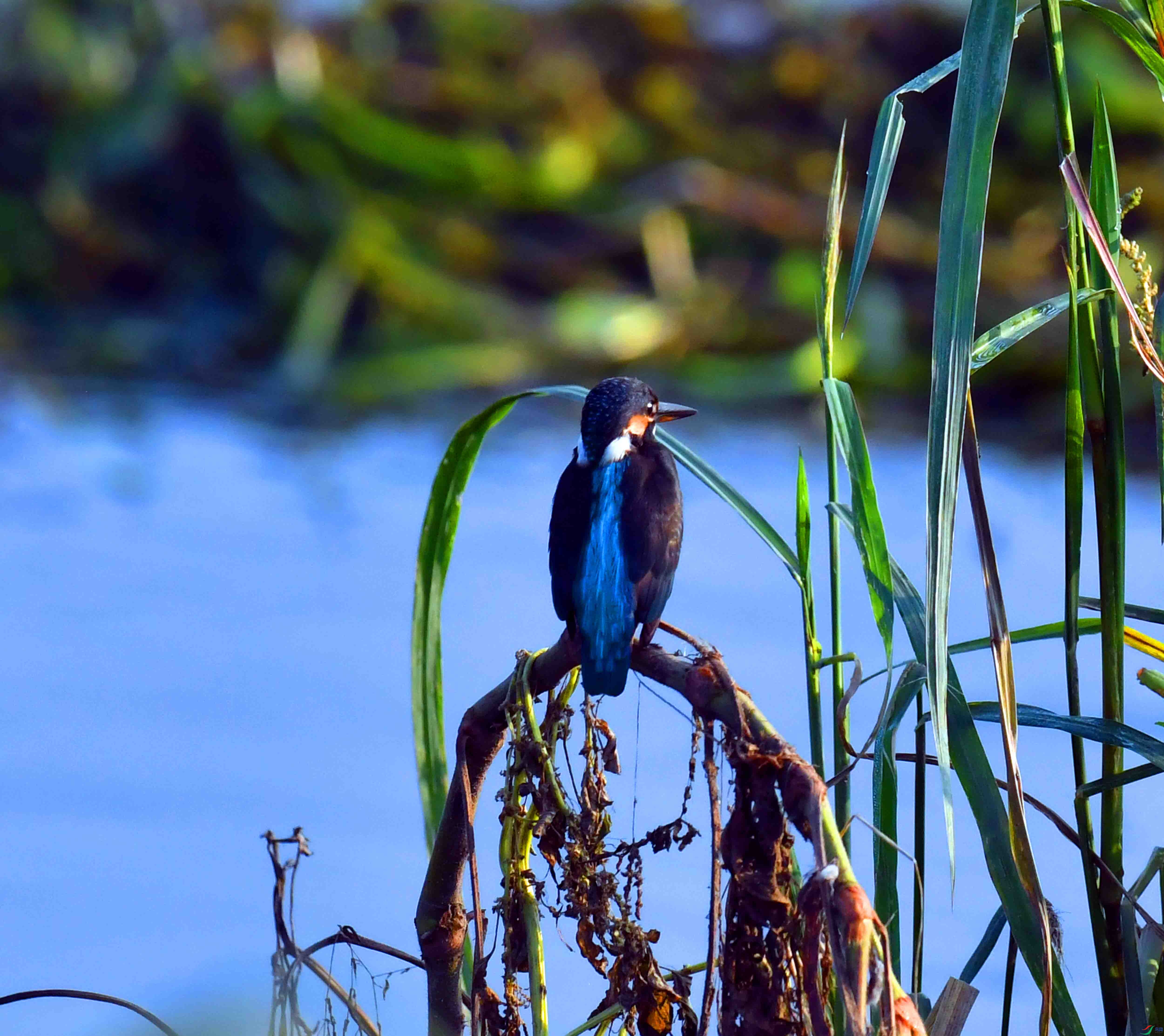DSC_0148.JPG