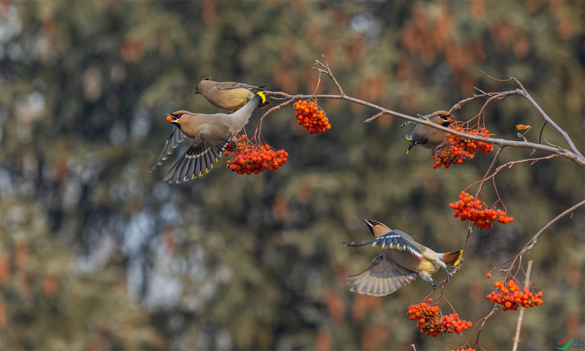 1K3A7969 ����1.jpg