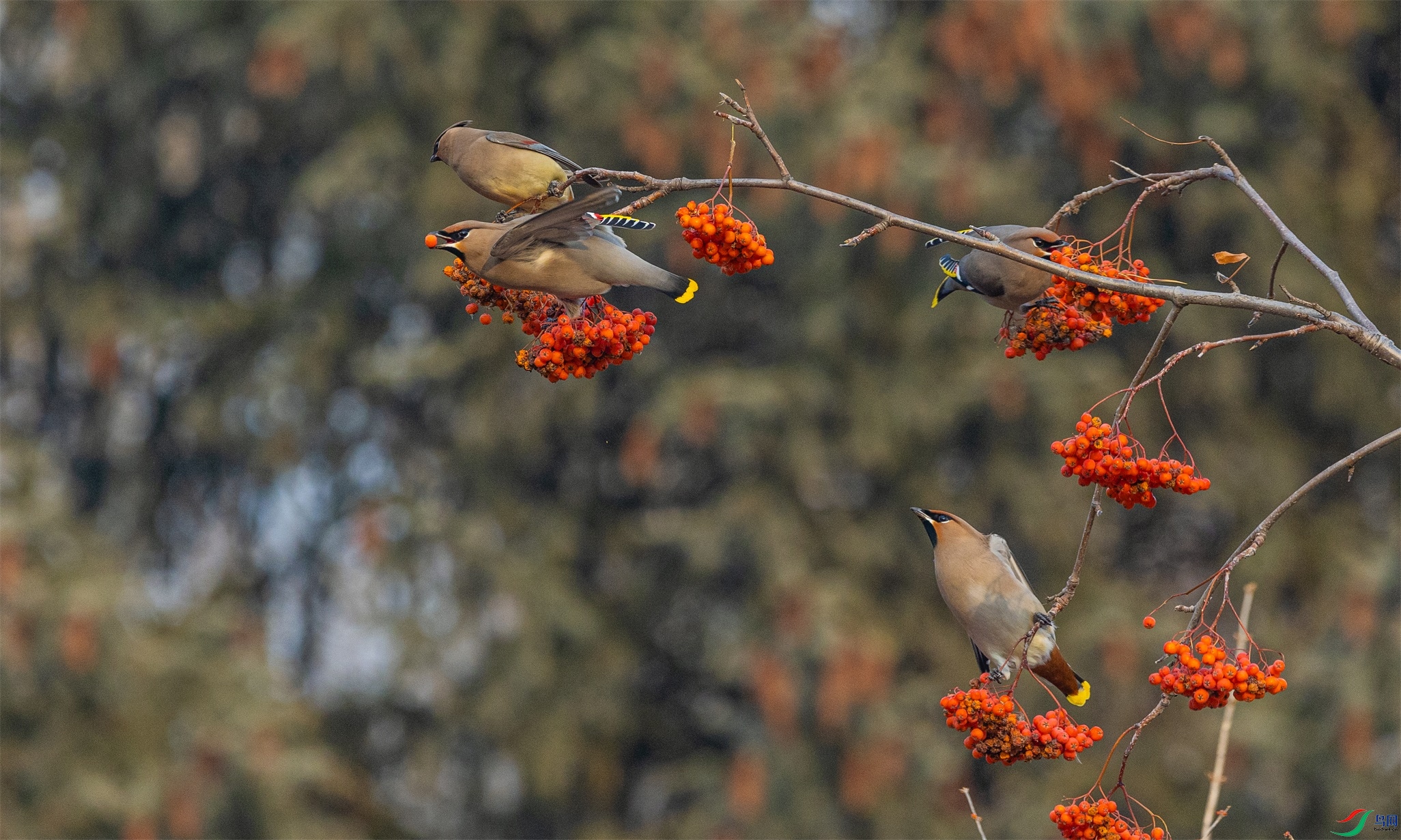 1K3A7967 ����1.jpg