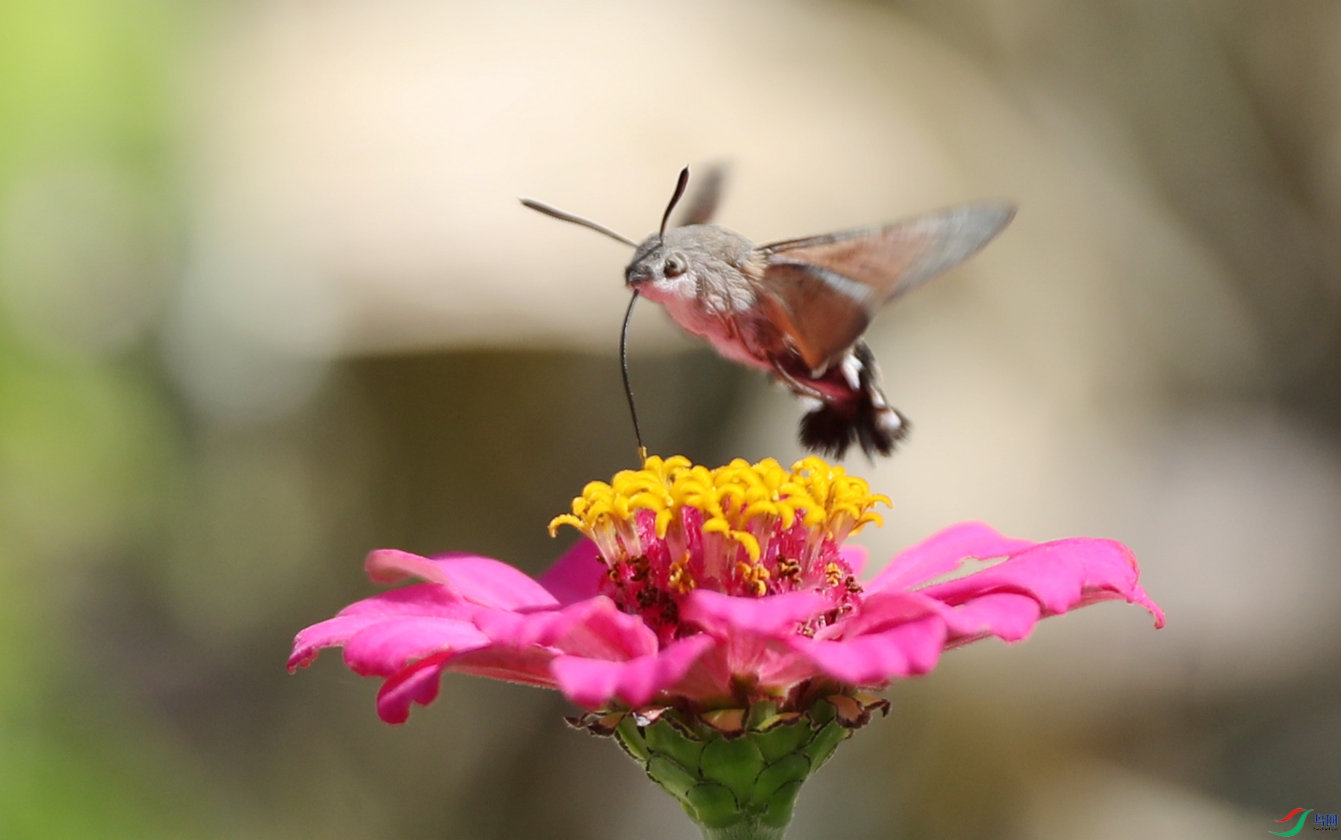 9G8A8192.JPG