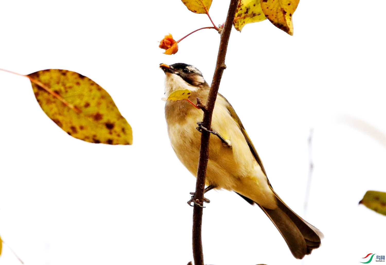 PicsArt_11-25-06.53.35.jpg