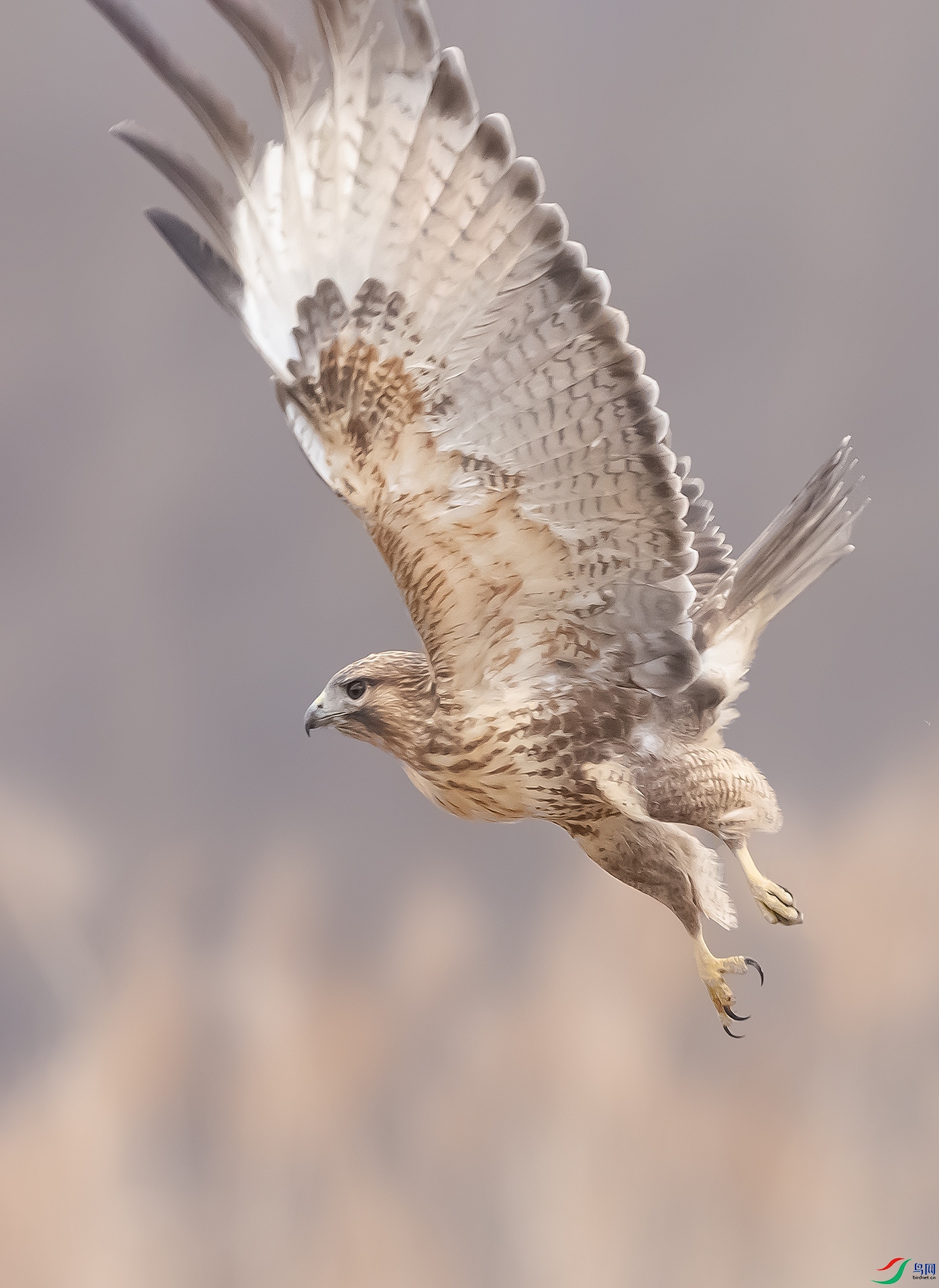 019A5586 ����.jpg