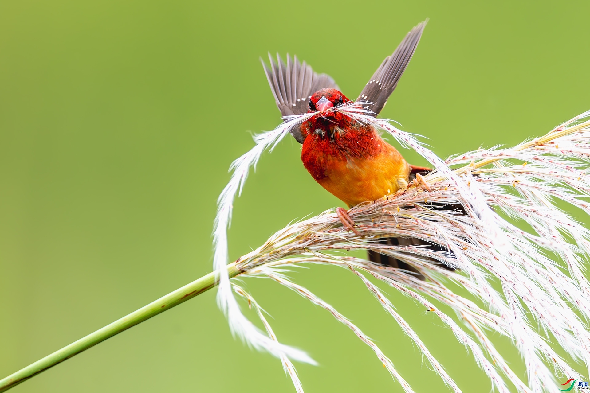 ��÷��ȸ������  ���� ����ǿ ��һ.jpg