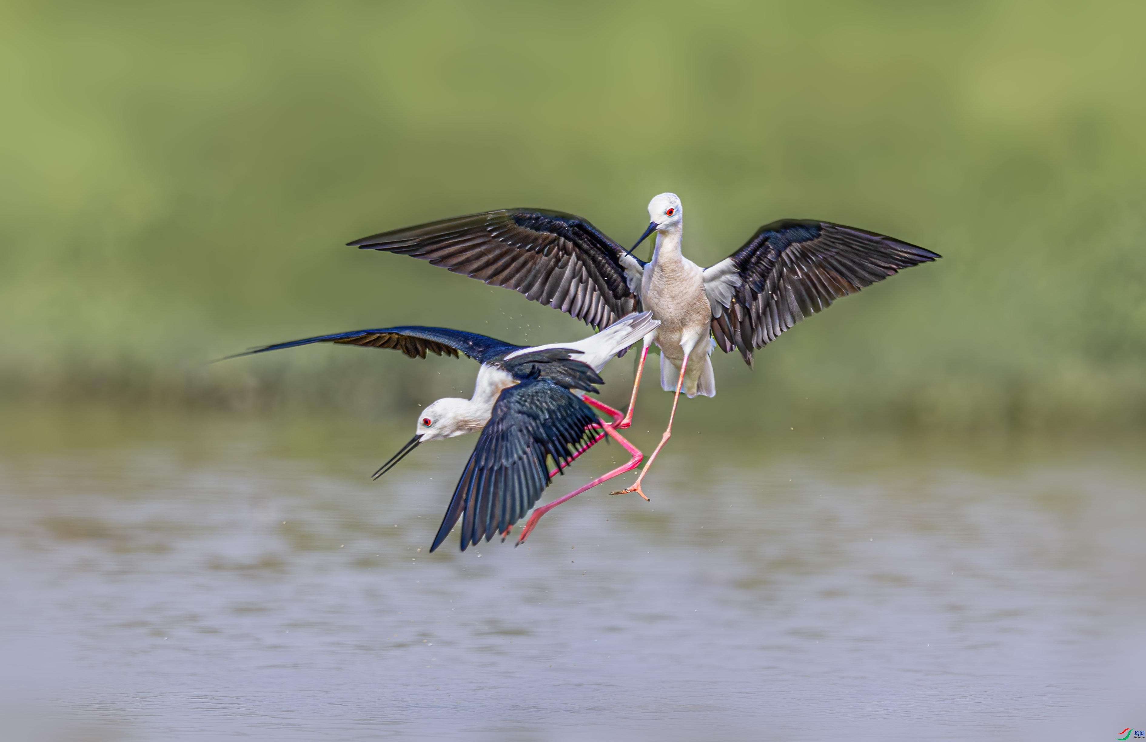 ��Ķ���  ���� ��һ.jpg