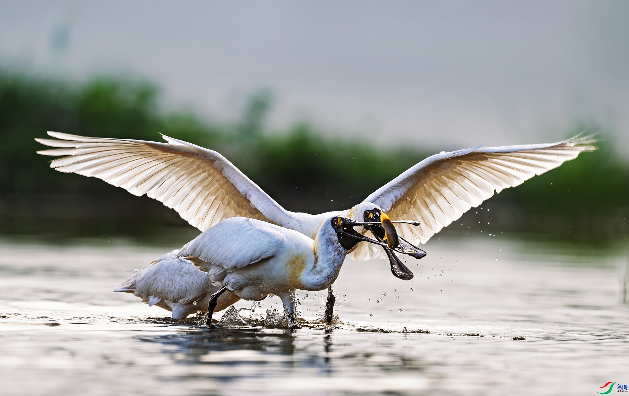 ǿ����  ���� �������� ��һ.jpg