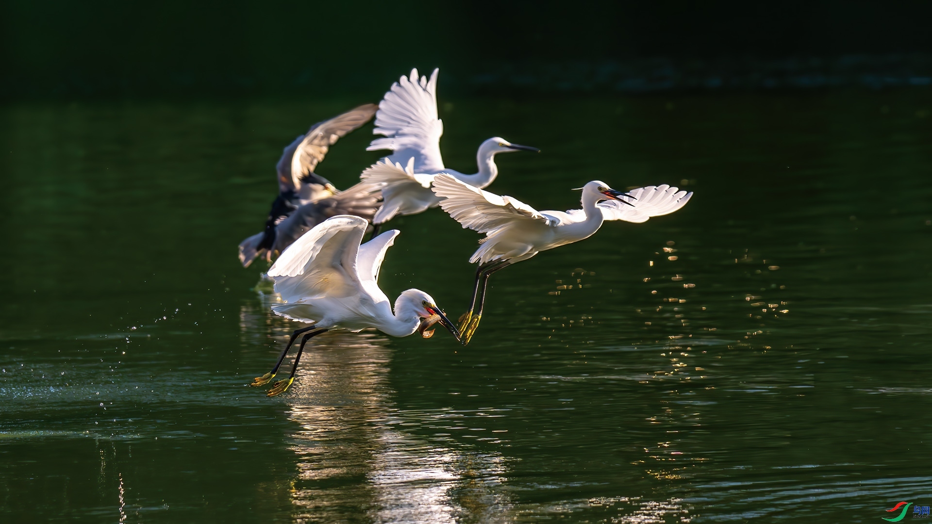 ��������  ���� ��һ.jpg