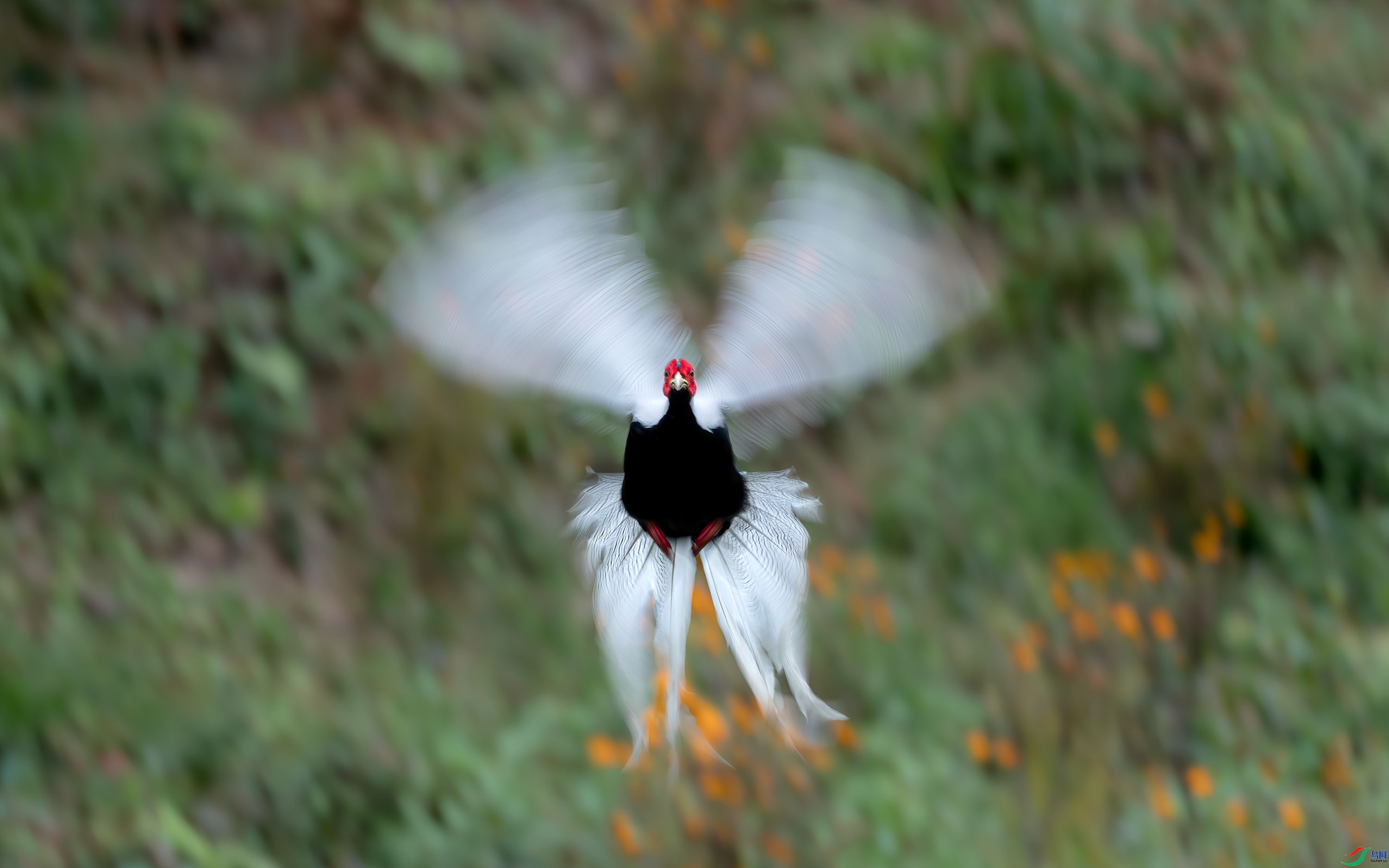 ���߷�  ���� ���� ��һ.jpg