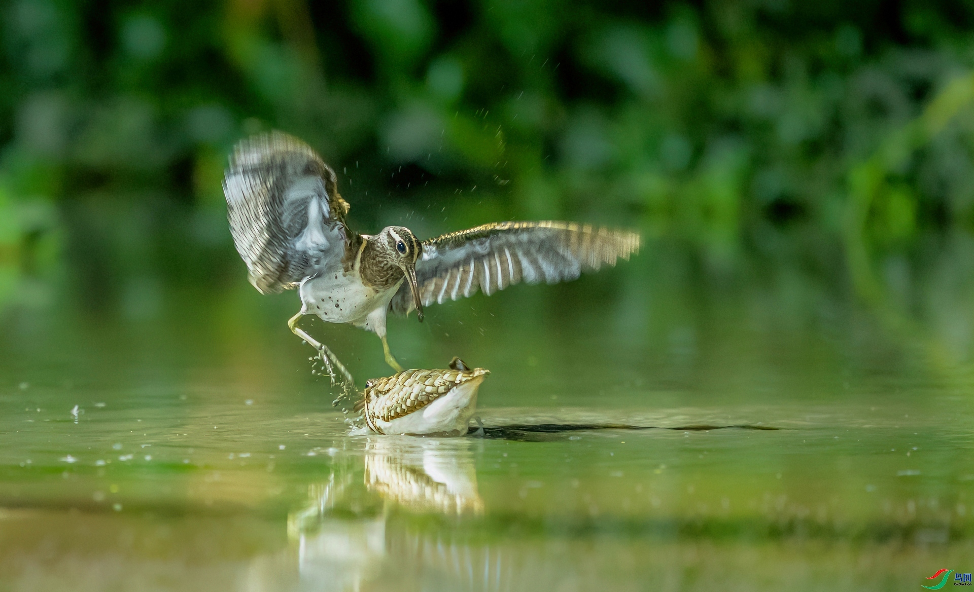 ���� ���� ����ʽ ����.jpg