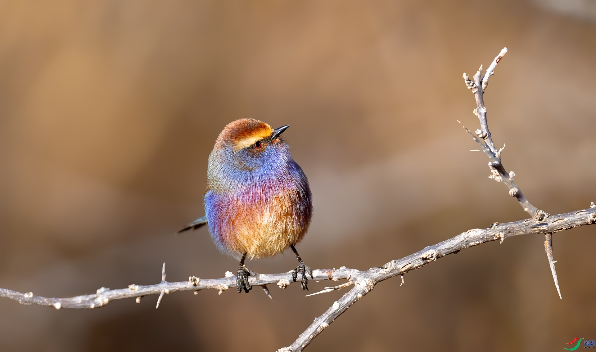 ����ȸݺ  ���� �������� ����.jpg