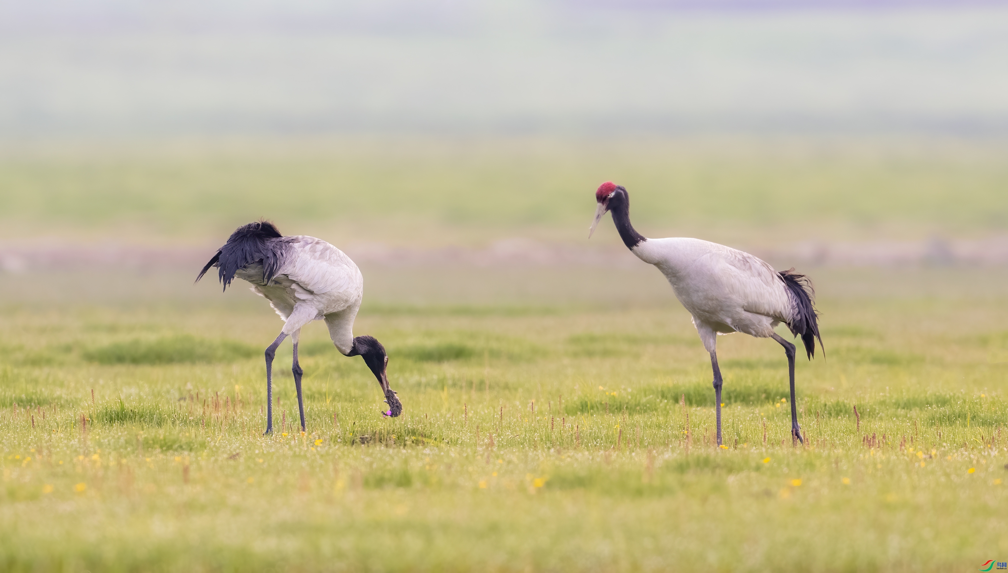 ����  ���� ��Ͽ֮�� ����.jpg