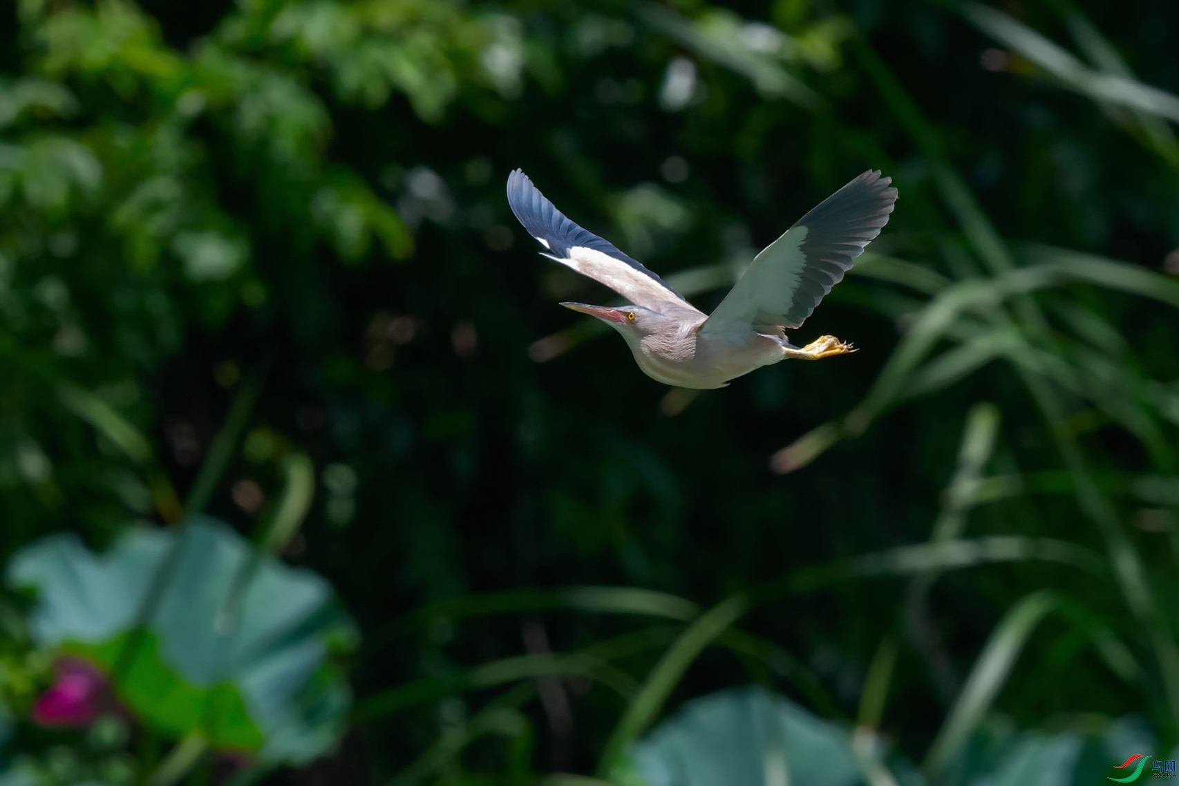 4DSC_1879_DxOa.jpg