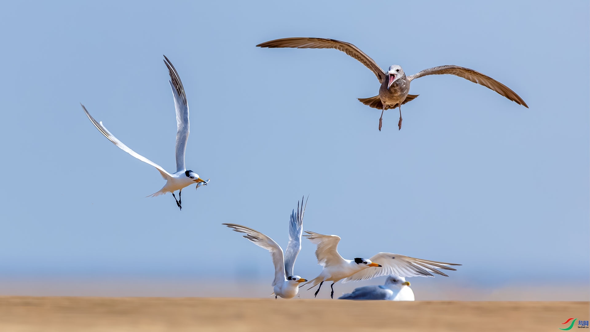 ���� ���� ɳ���Խ� ����.jpg