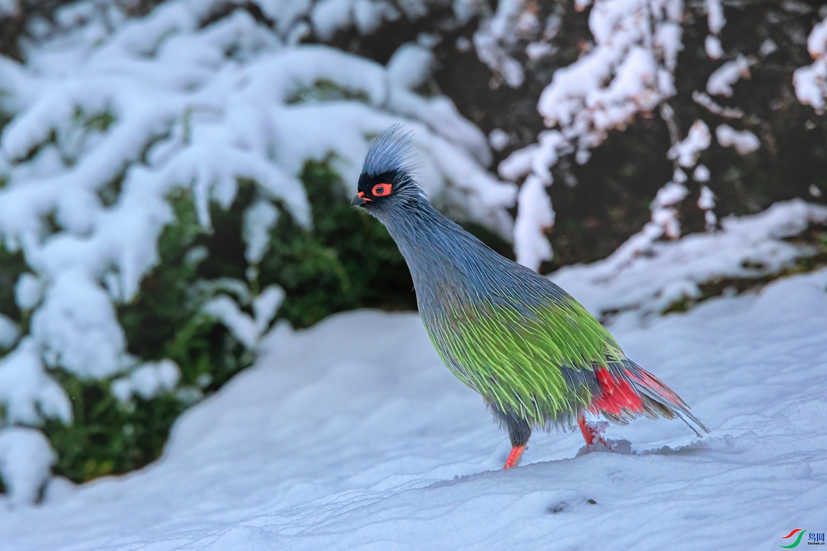 ѩ���� ���� ��ͥ�Ų�YES   ����.jpg