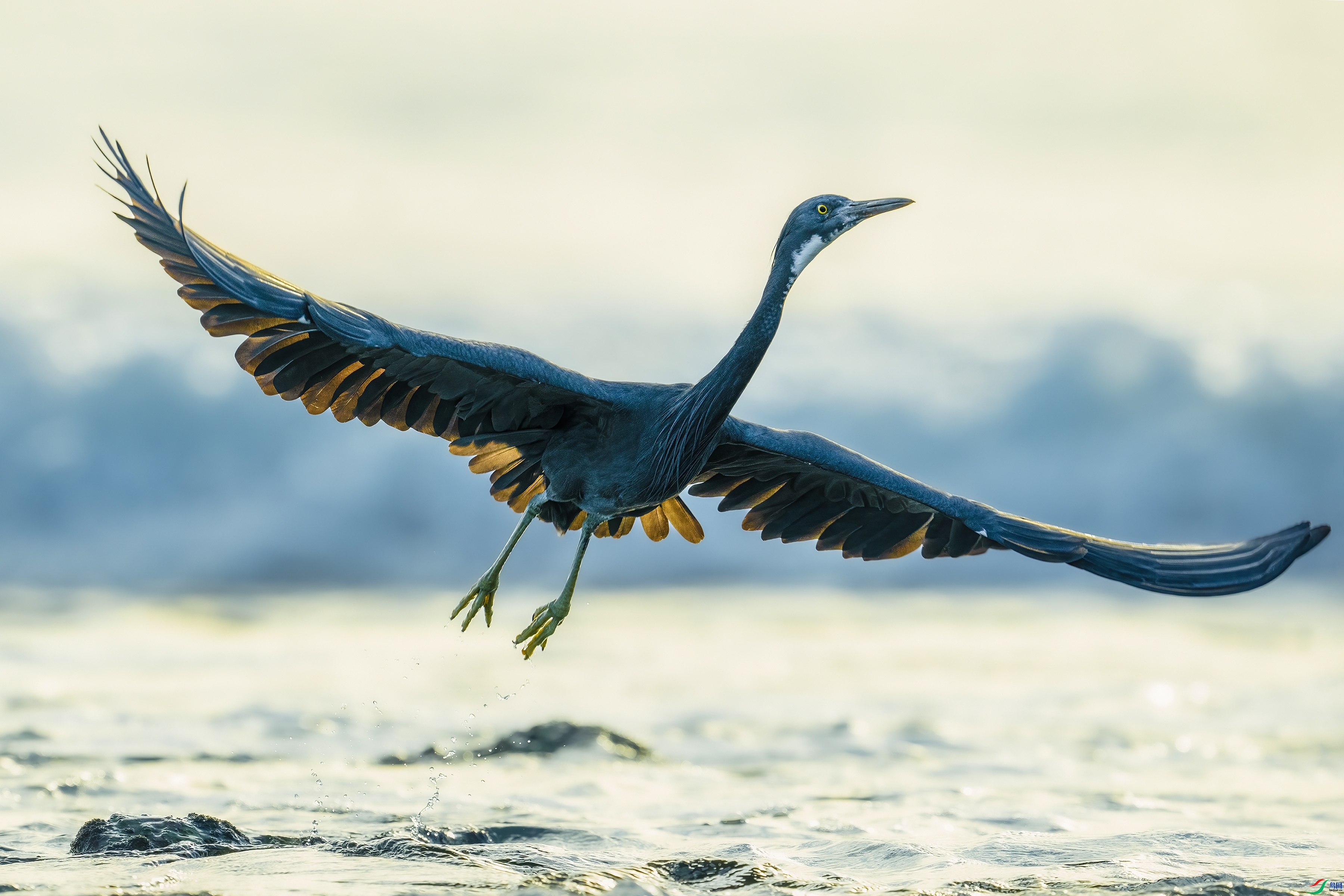 ��� ���� ����· ����.jpg