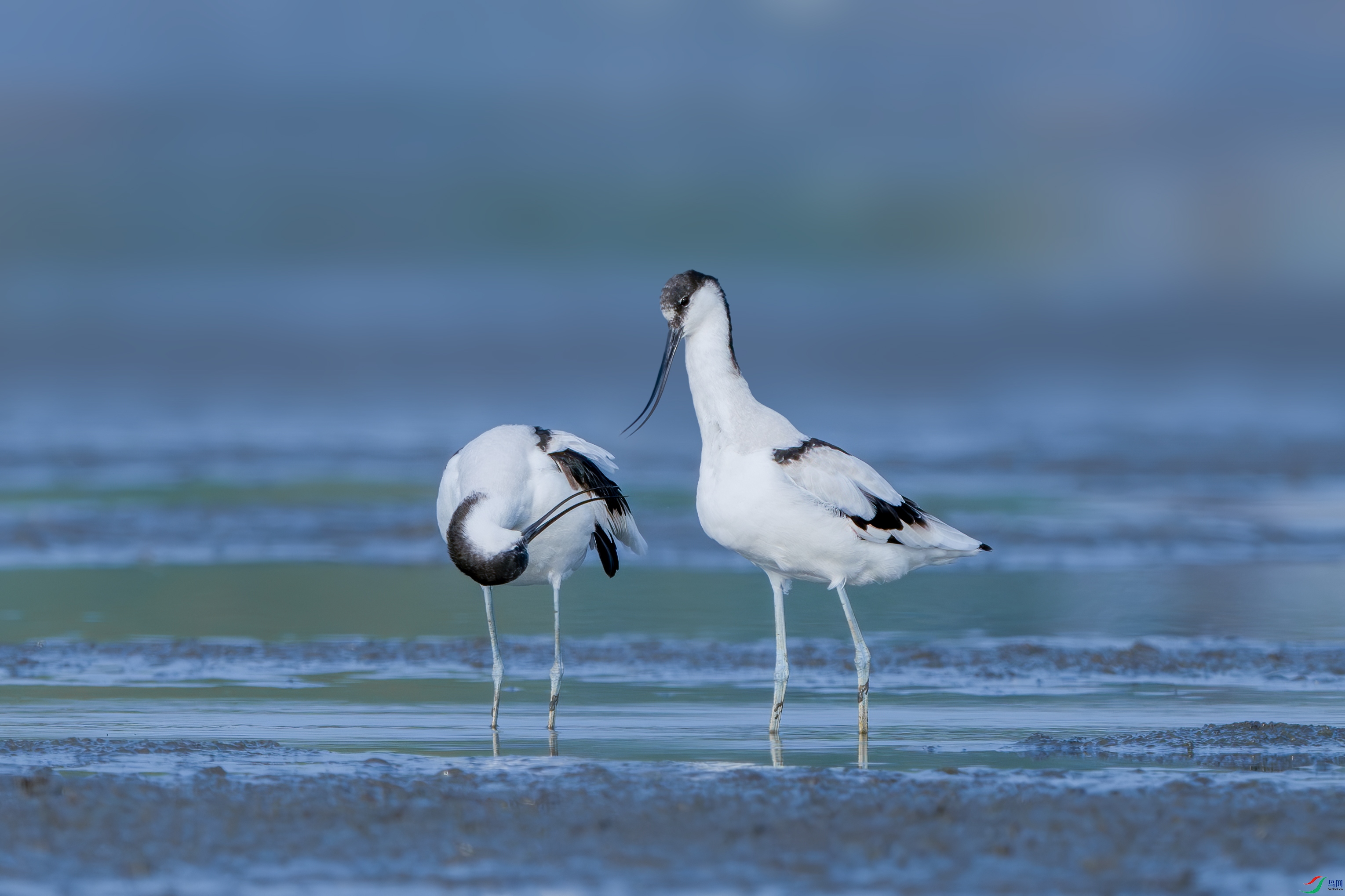 _DSC2204-����ǿ-NR ����.jpg