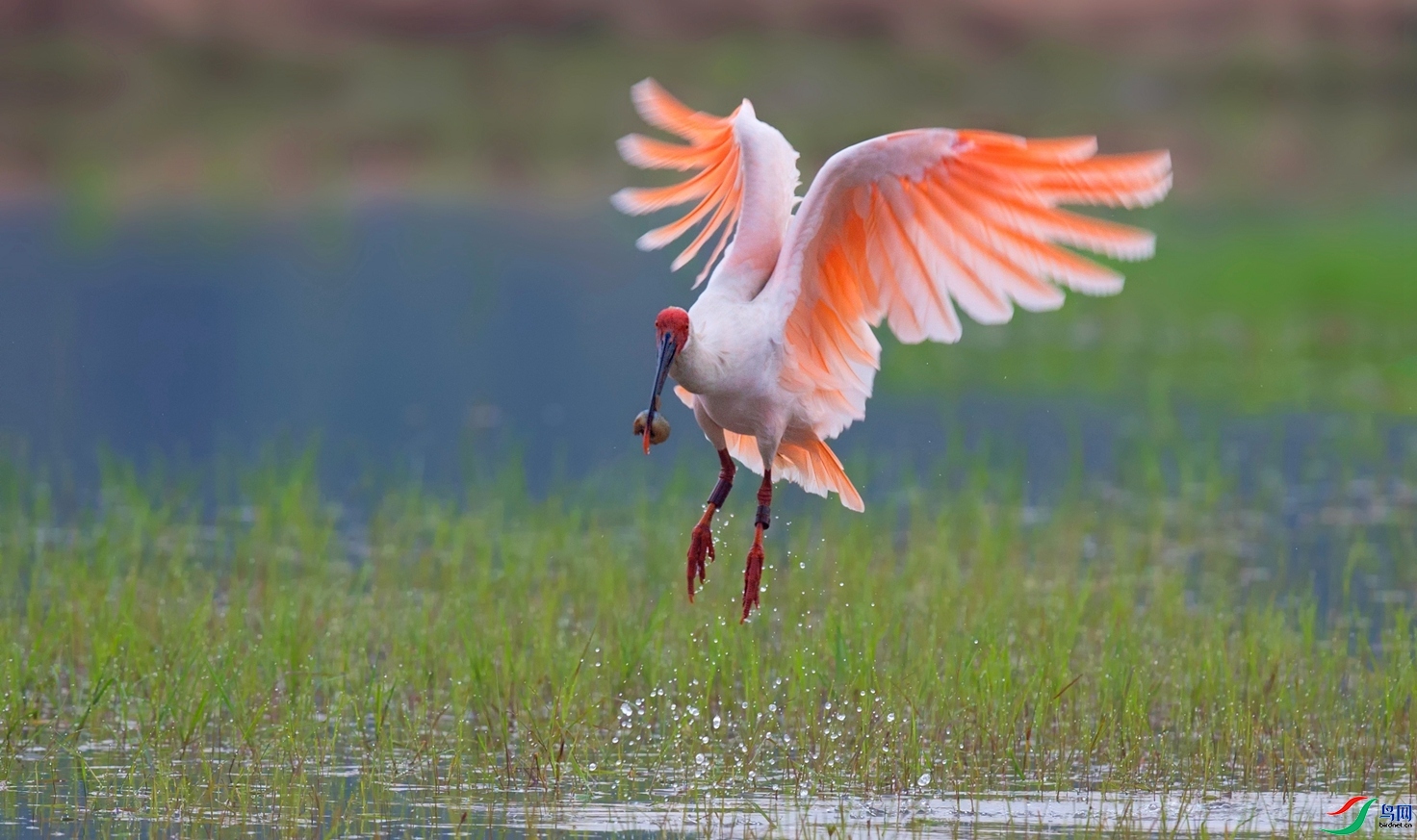 ���q ���� ��Х ����.jpg