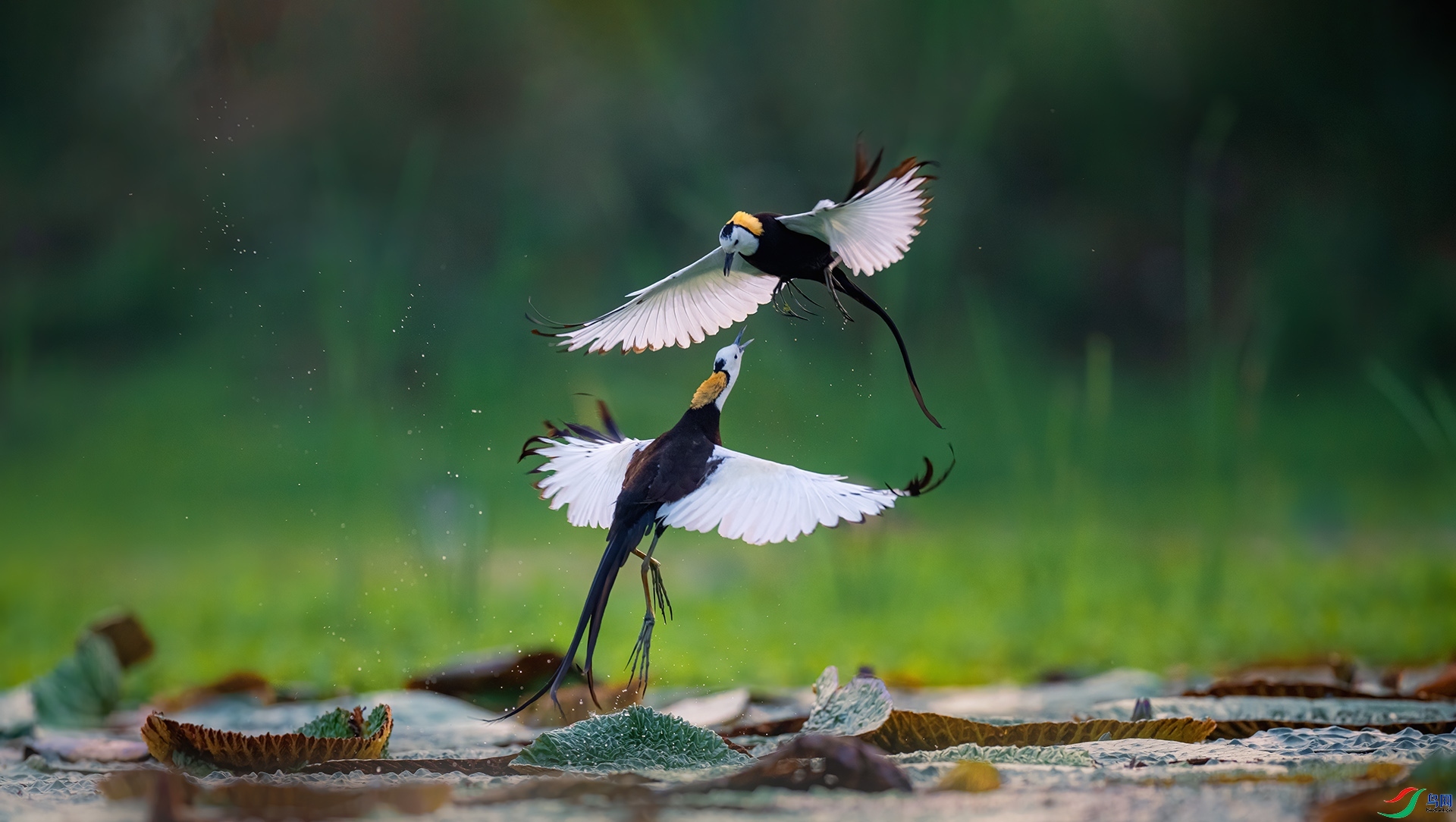 ��  ���� �������� ����.jpg