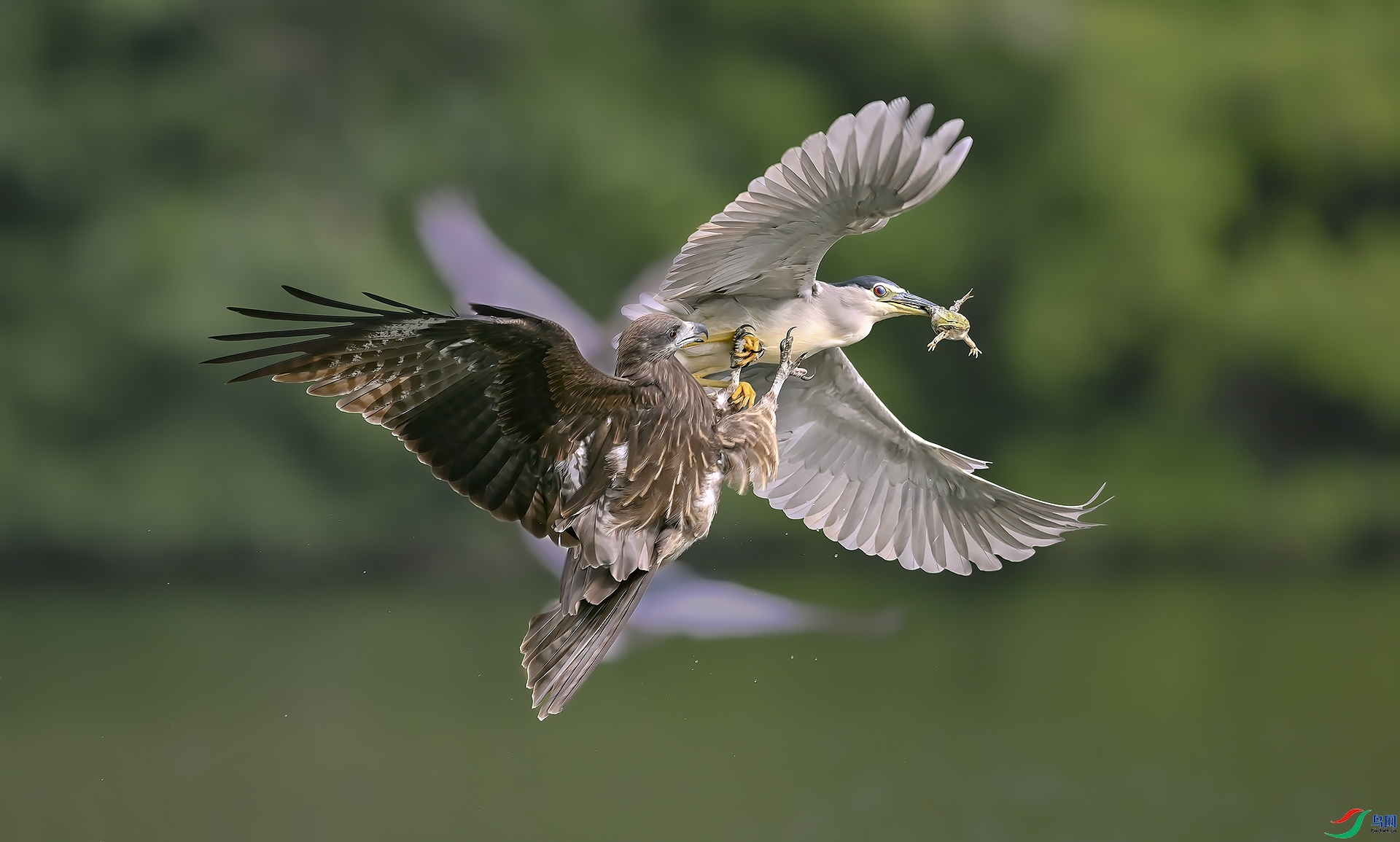 ����  ���� ����.jpg