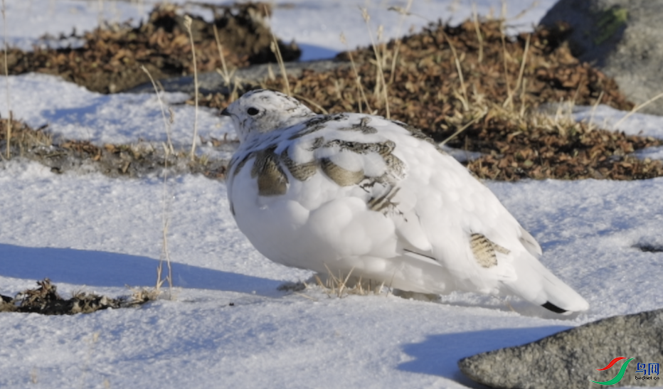 ����2024-11-25 09.02.43.png