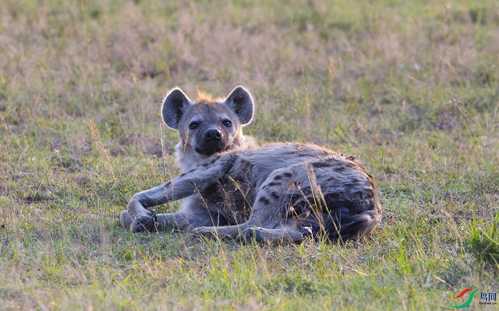 ���ް��׹� (5).jpg