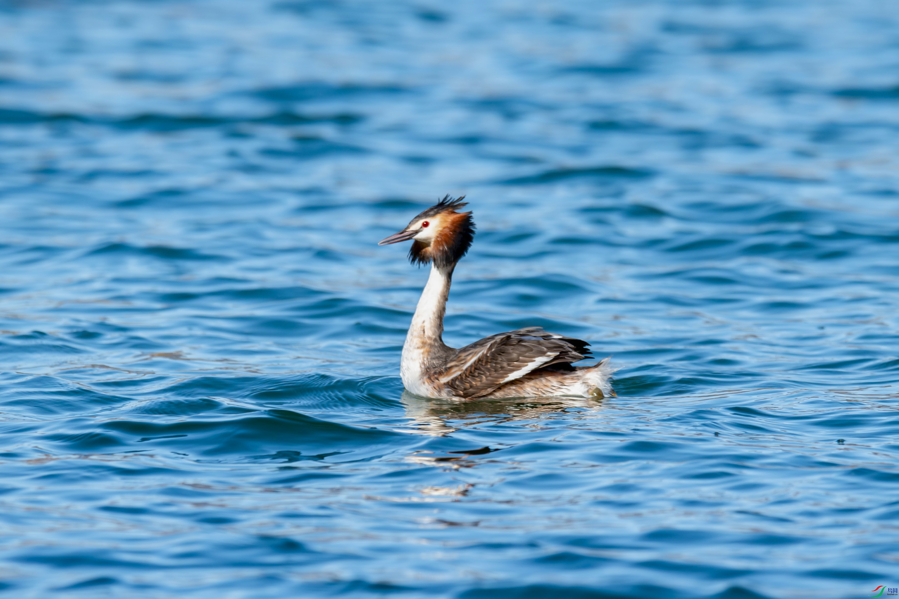 DSC_1417.jpg