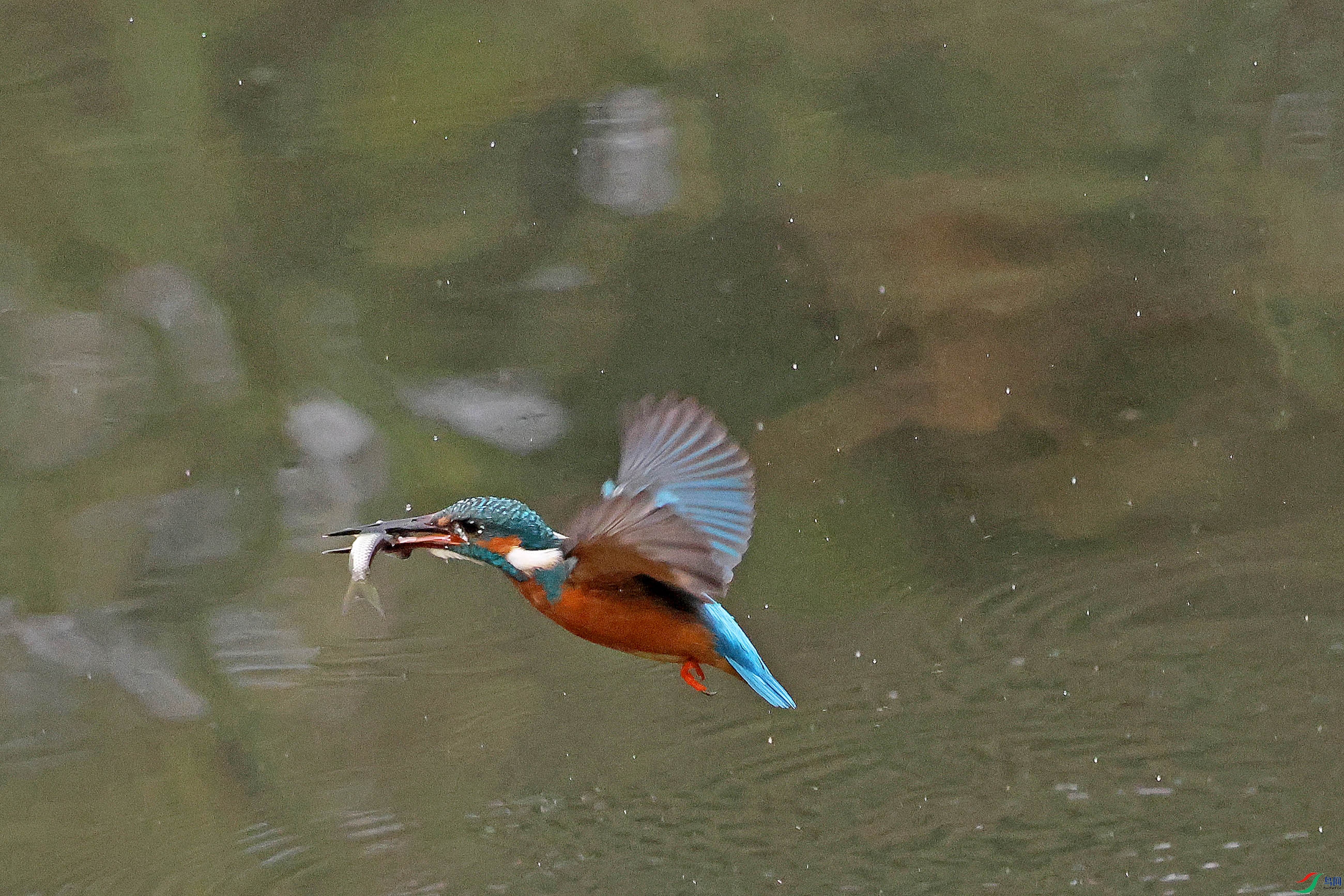2G9A7066.jpg