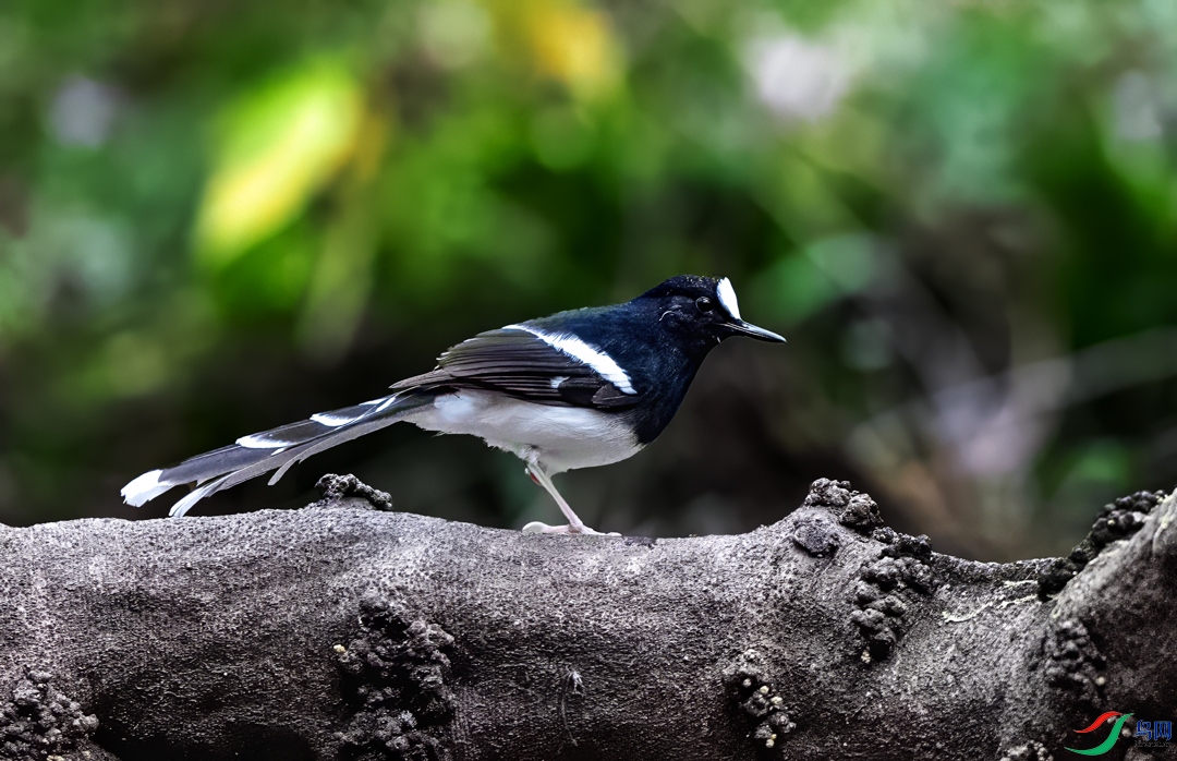 DSC04215.jpg