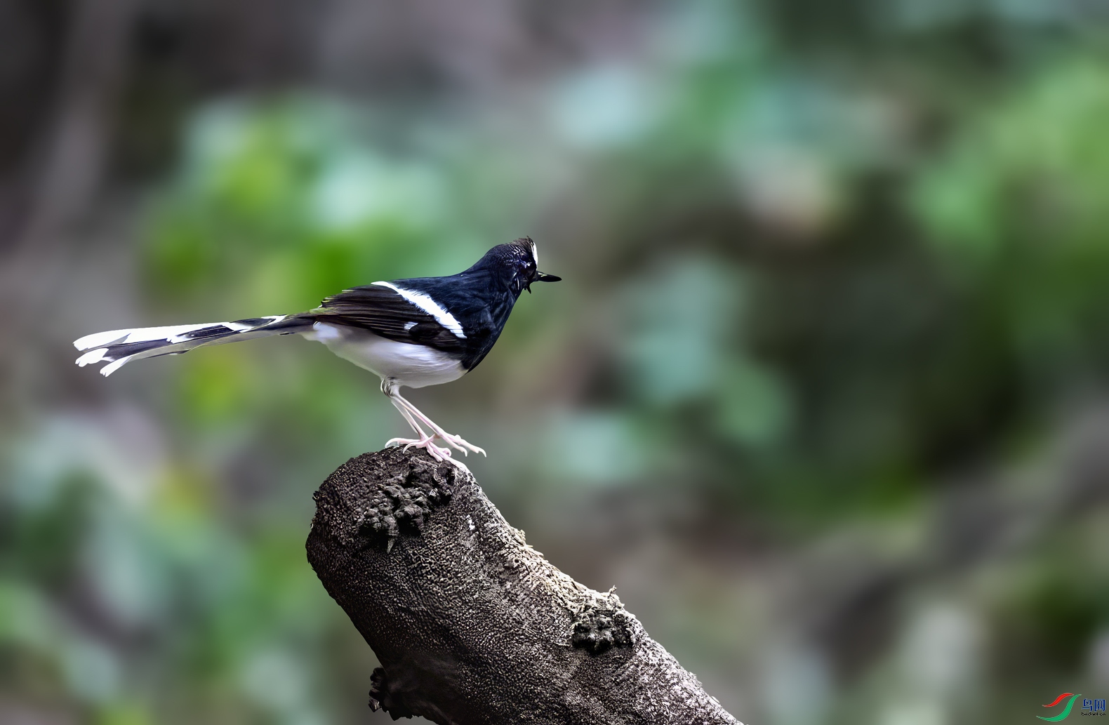 DSC04231.jpg