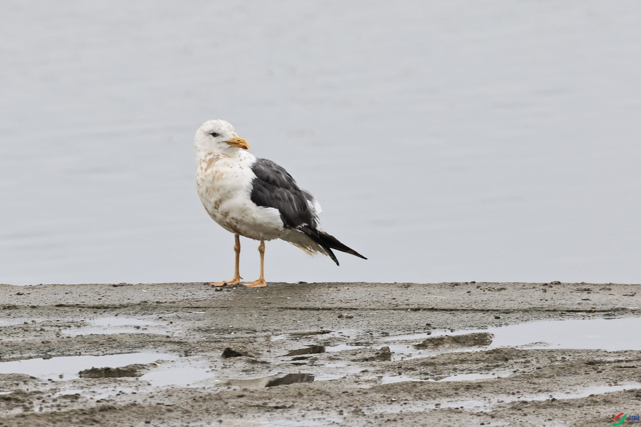 ʲôŸ 2 _98A2708.jpg