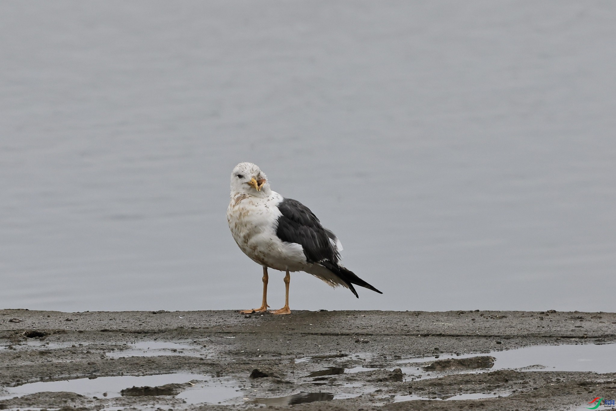 ʲôŸ 3  _98A2715.jpg