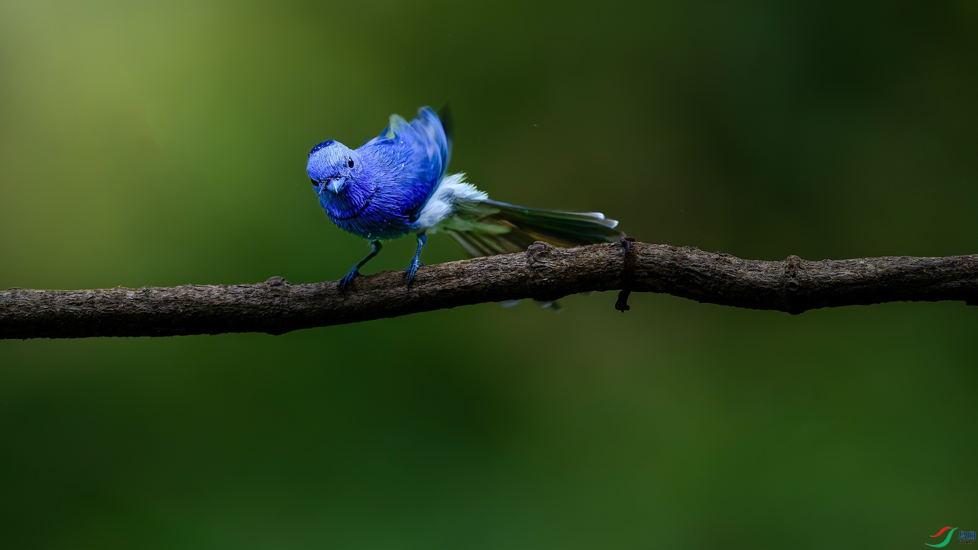 1_XXL1292-����ǿ-NR ����-1.jpeg