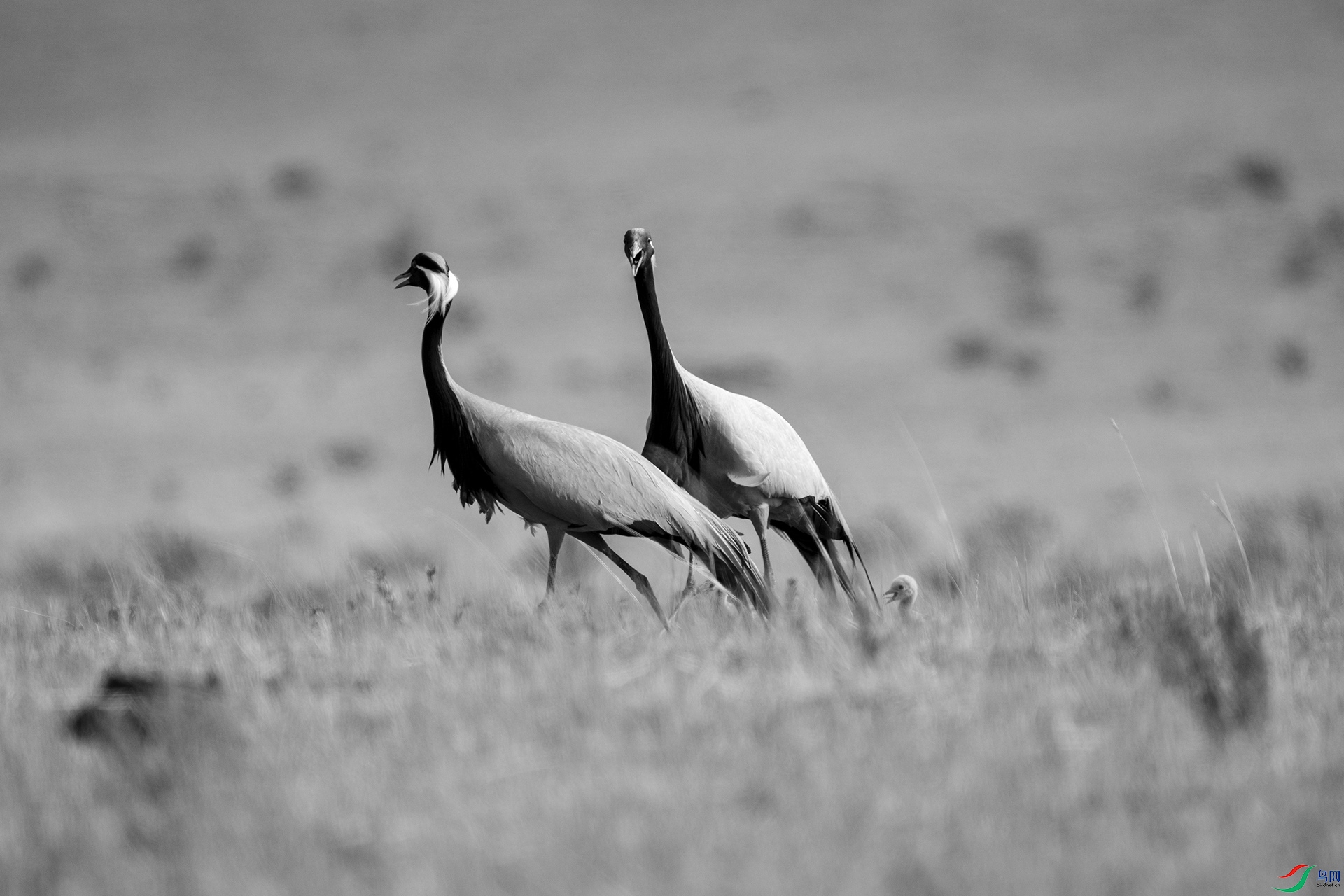 DSC08443 ����.jpg