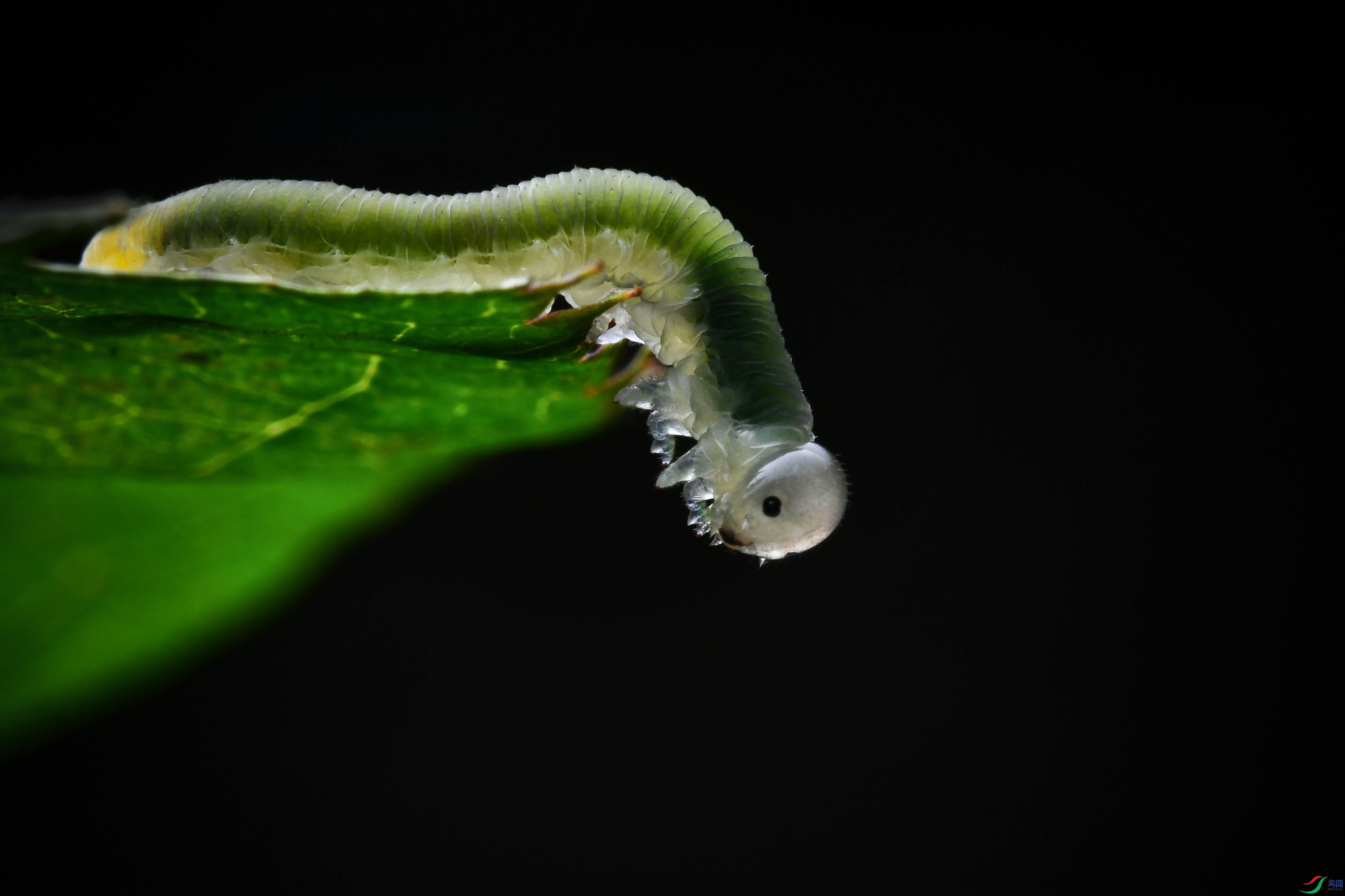 DSC_3659-0.jpg
