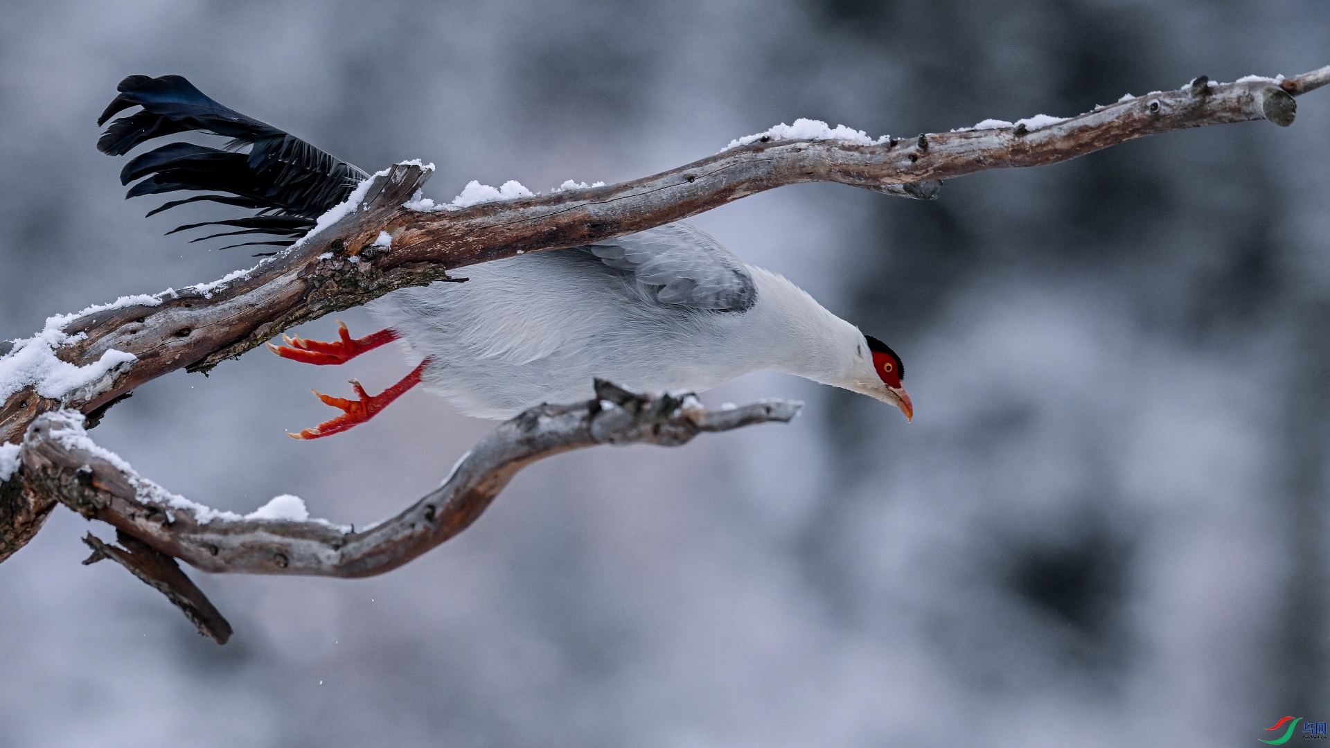 DSC_2269-1_01.JPG