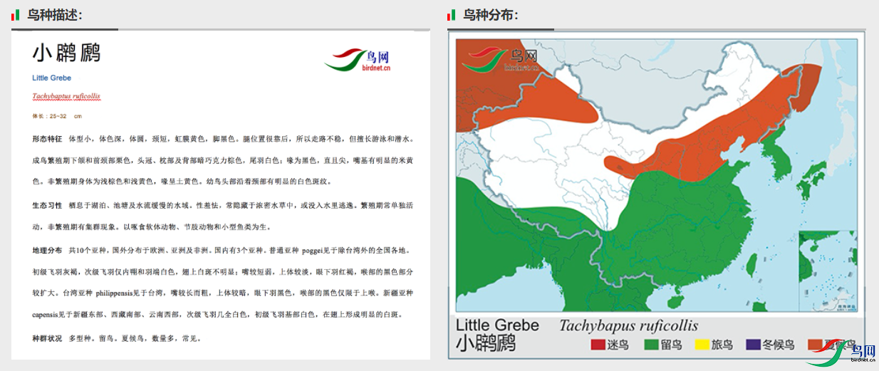 a3e5ec3557f6f45382e2adaeaef066c.png