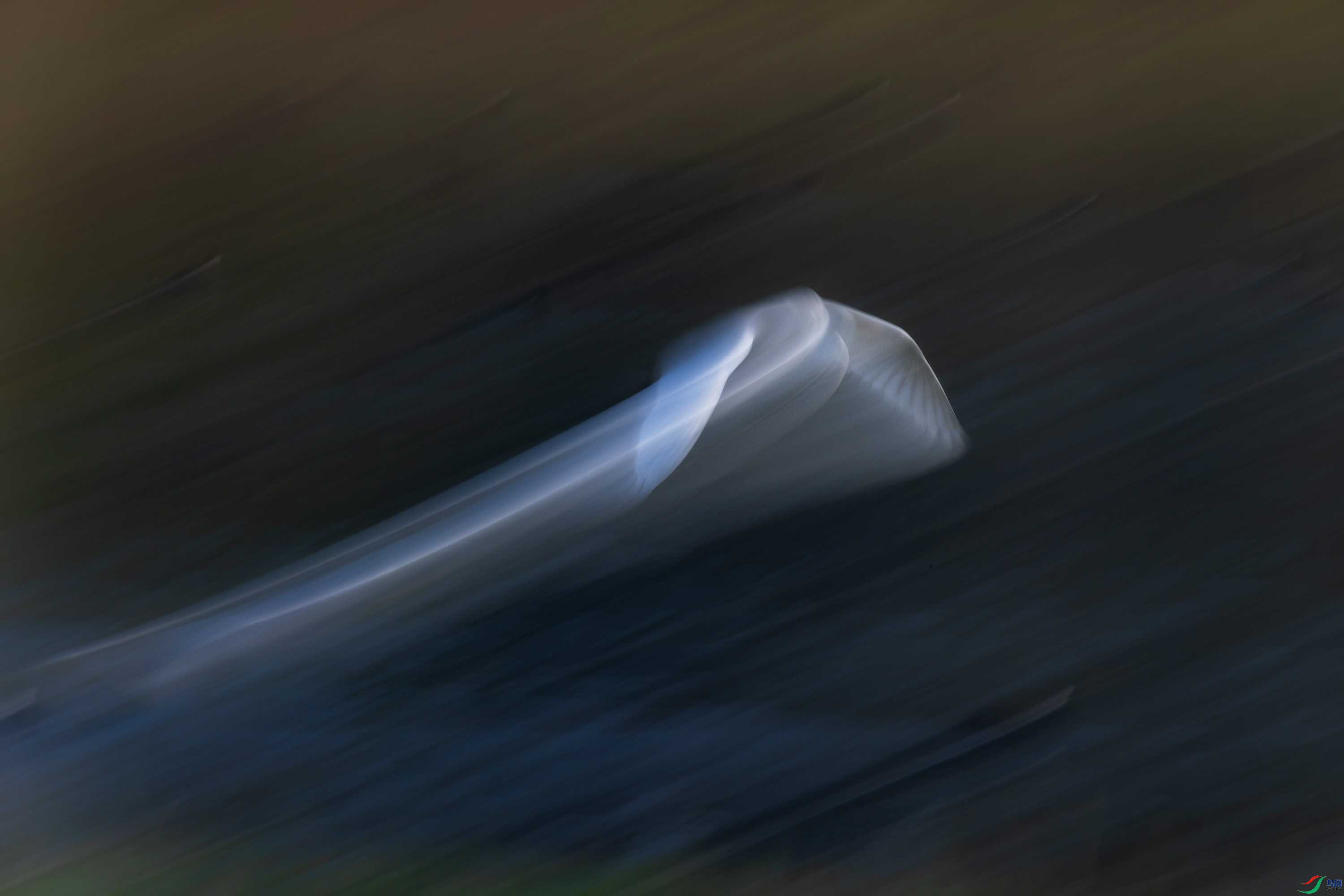 278A9898.jpg