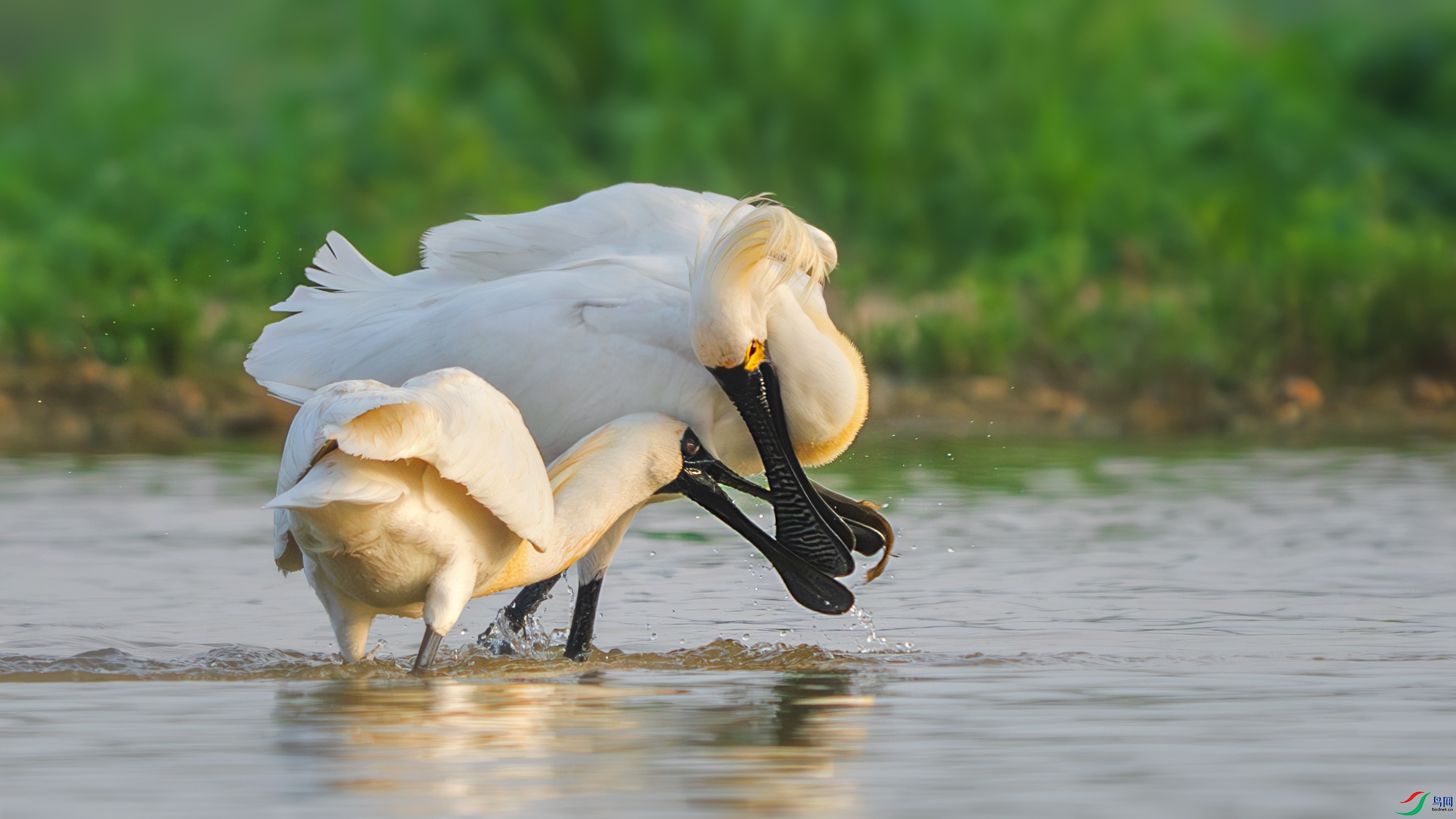 DSC05745 ����.jpg